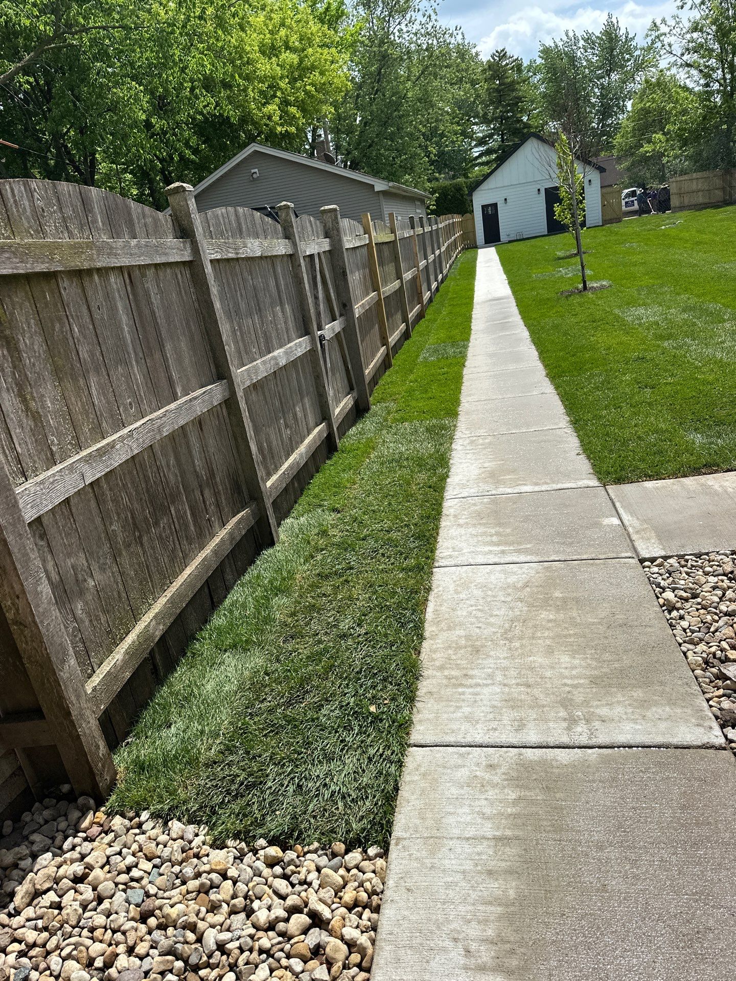 Tom D. - Wilmette, IL by A&N