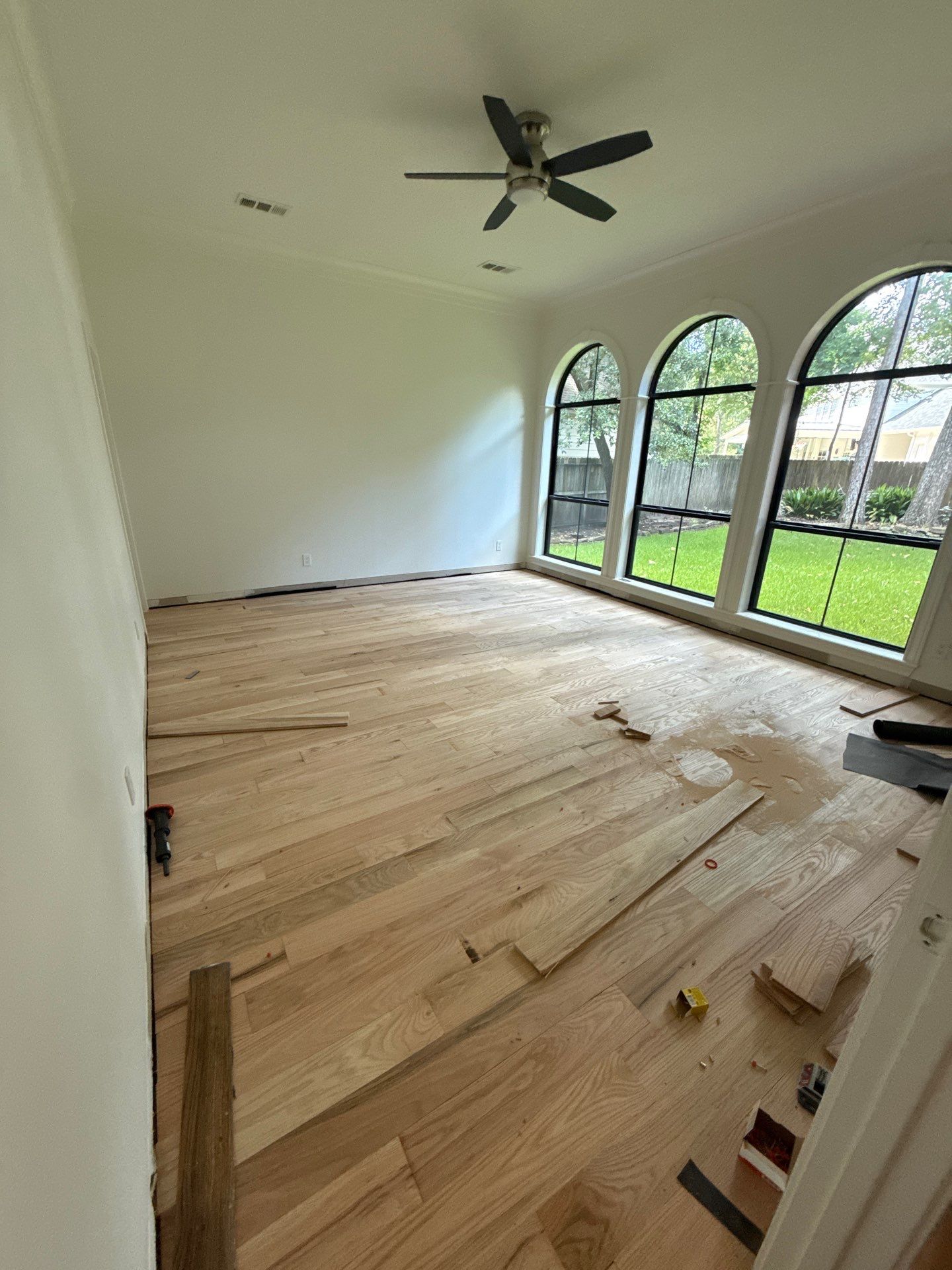 The Napolitano Family by SophAlx LLC