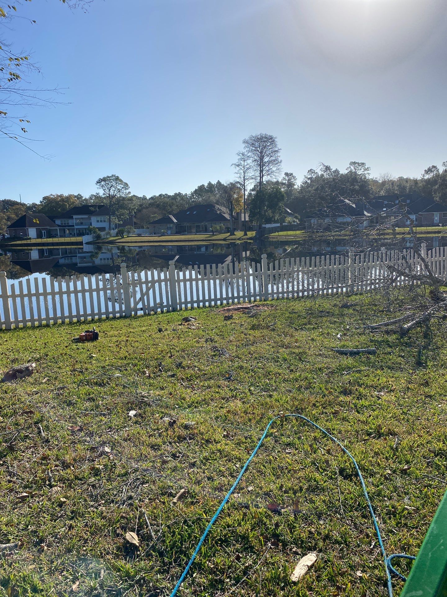 Deerwood Resident | Tree Removal & Palm Trimming by ProGreen Services