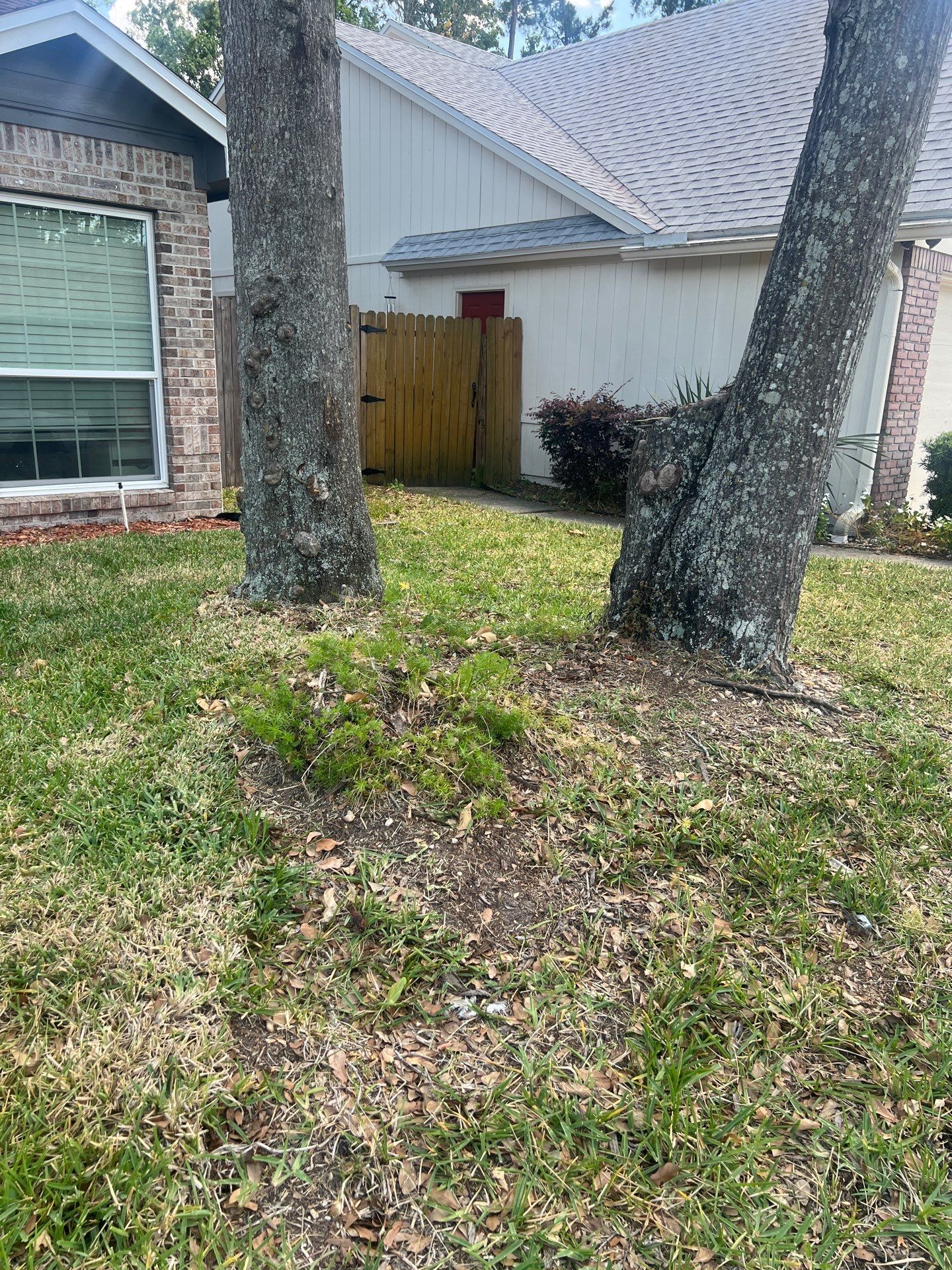 Landscape Install | Residential by ProGreen Services
