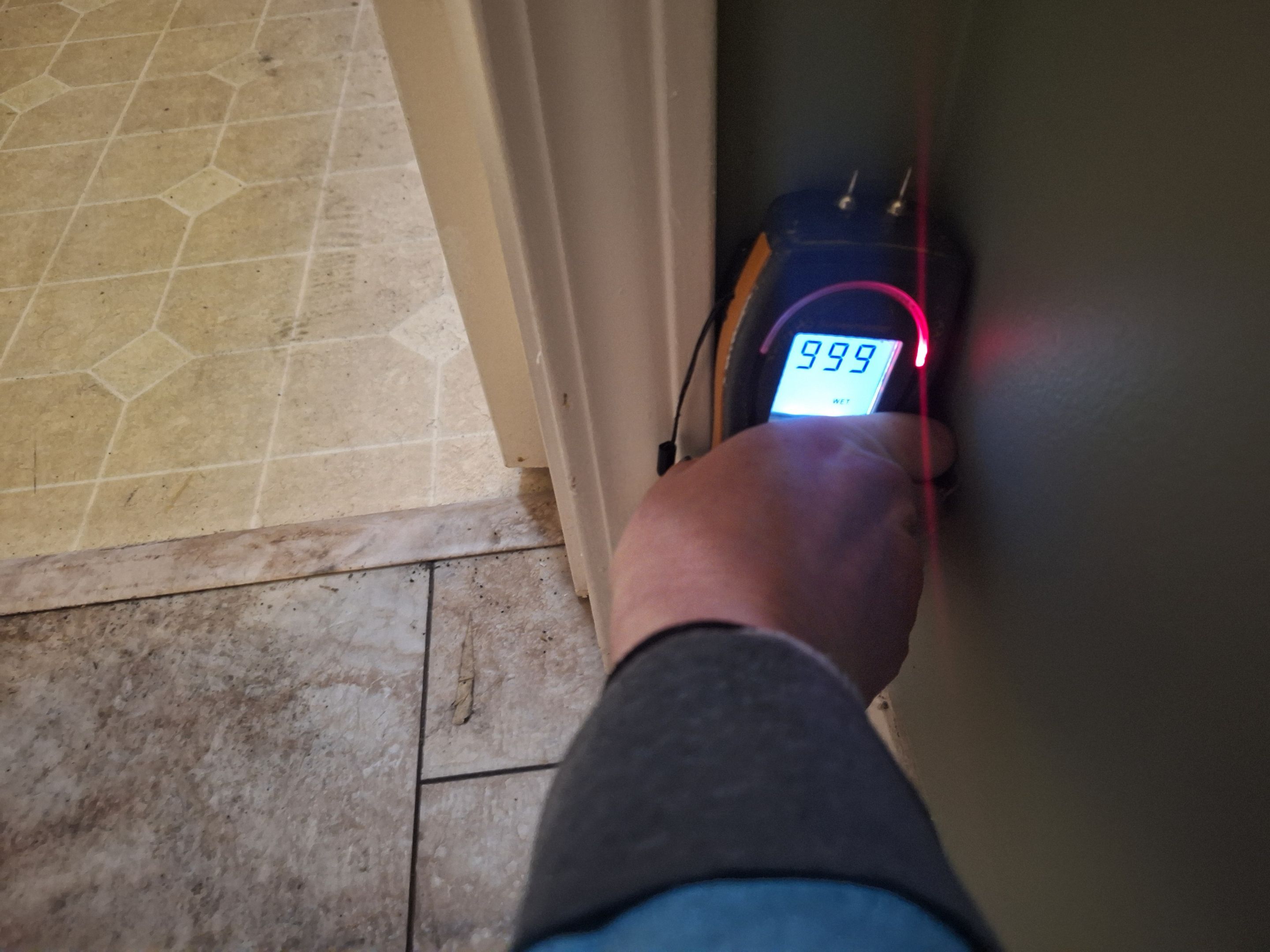 Mitigation and Repairs Project by ANR Restoration