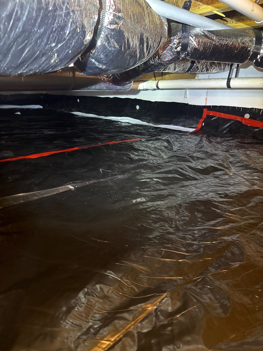 Bathroom and Crawlspace Water Damage and Mold by Healthy Home Solutions