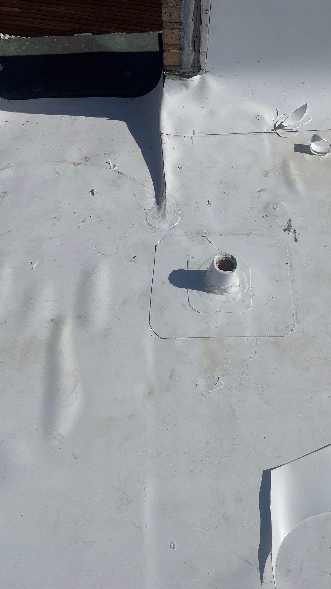 Problems in Paradise  by Bayfront Roofing and Construction