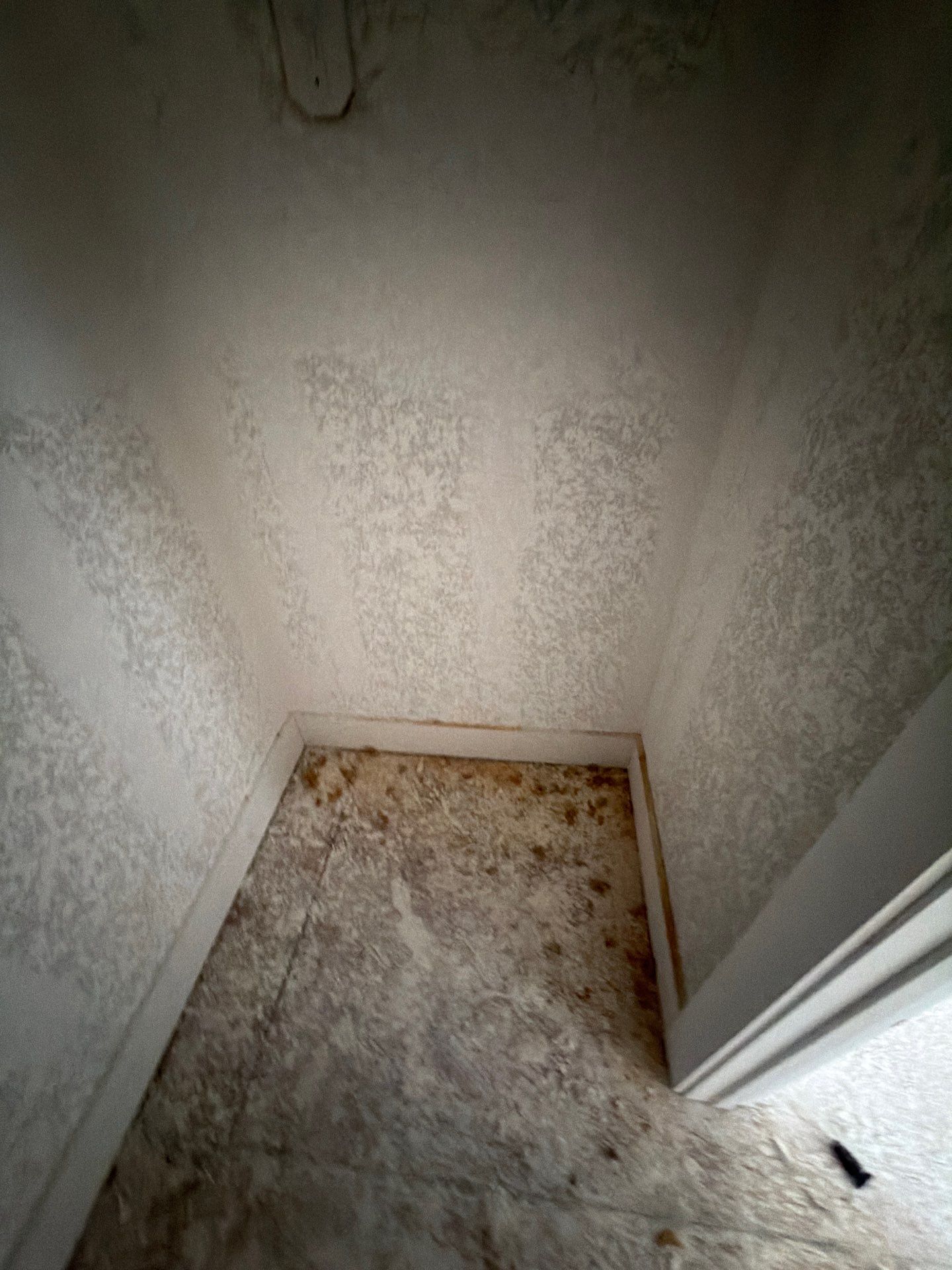 Interior Trim Installation- Pre Paint - Project in San Antonio, TX by Roaring Lion Renovation, LLC