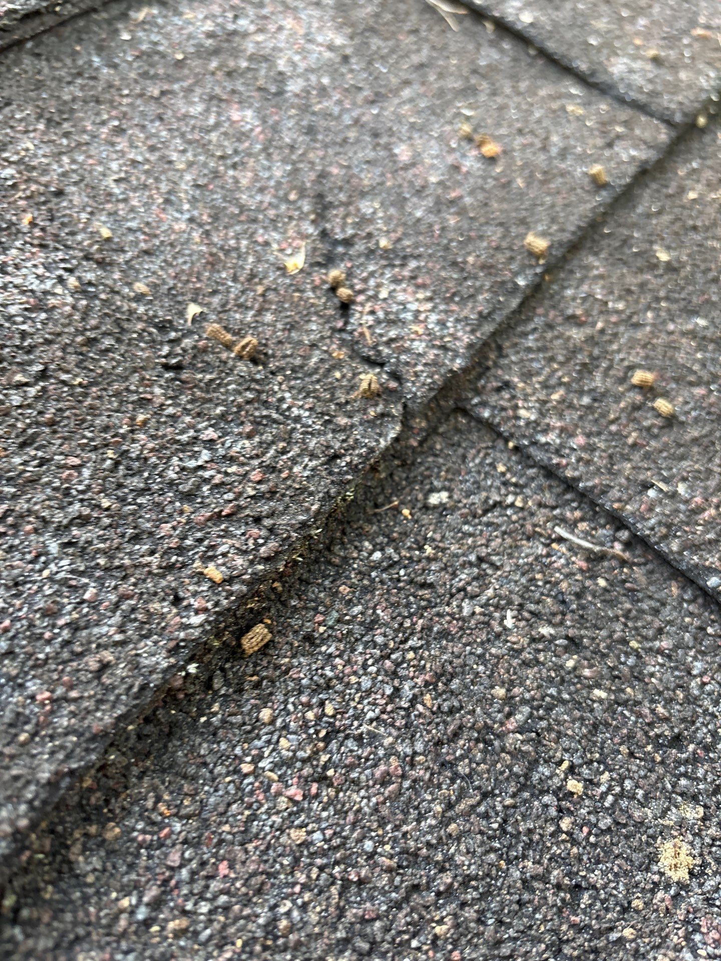 Project in Stanardsville by Roof Maxx of Midlothian