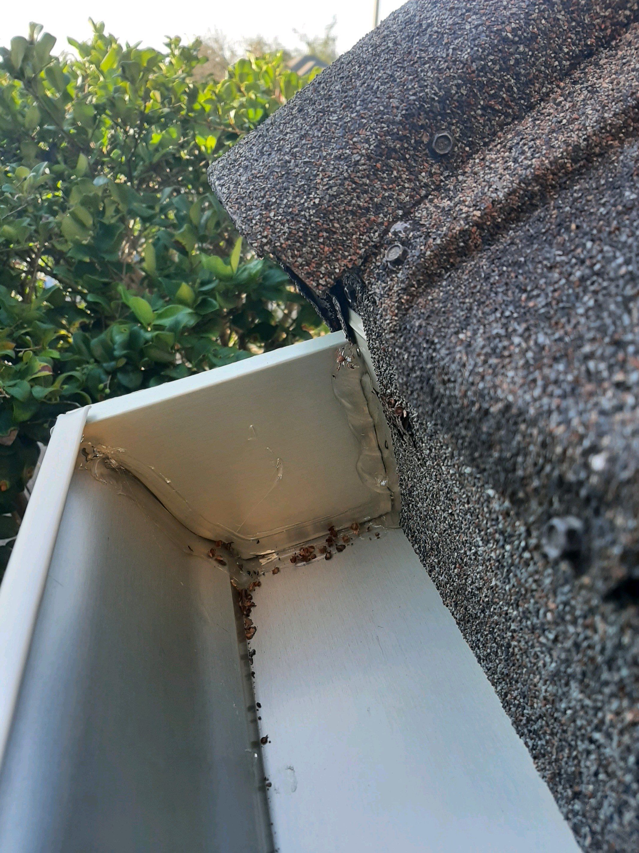 Seamless Gutter Installation with Wicker Color K-Style Gutters and LeafBlaster Pro Mesh Gutter Guards by Gutter Professors