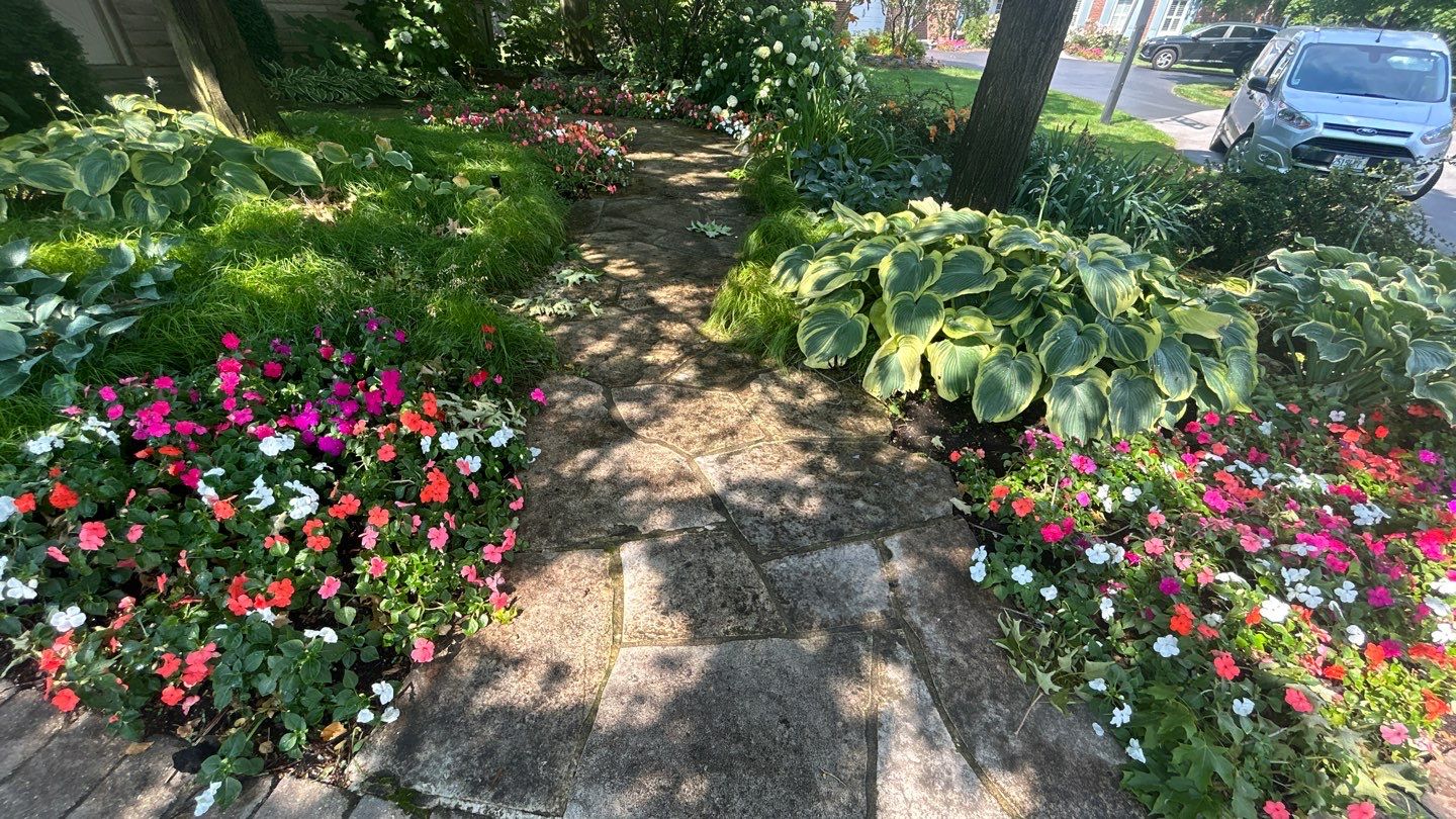 Brick paver clean, sand and seal.  using Surebond SB-1300 by Northern Power Washing LLC.