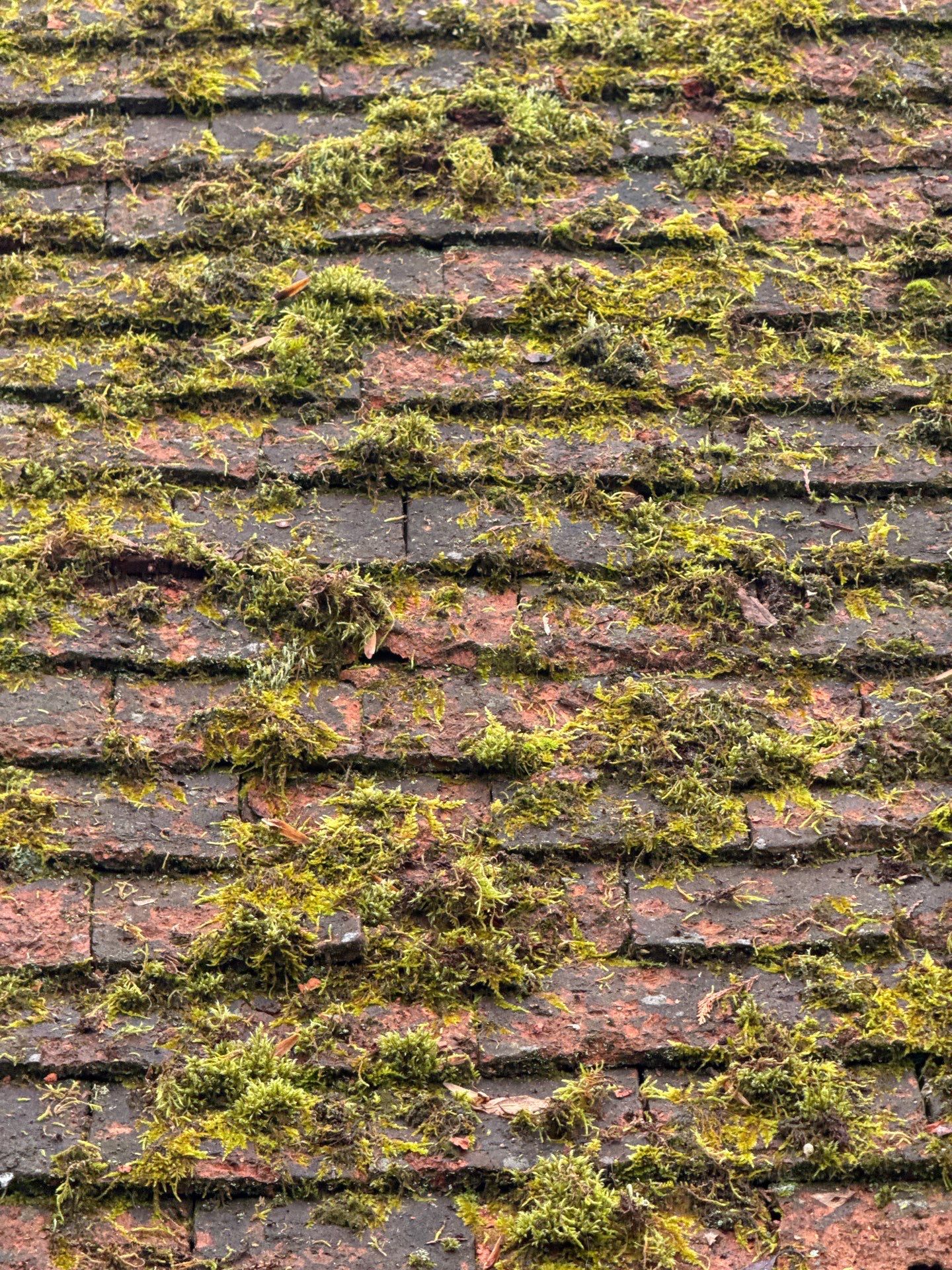 Roof Clean  - Moss Removal - Gutter Clean using Honda 15lpm Low Pressure Washing Machine by Ges Exterior Cleaning ltd