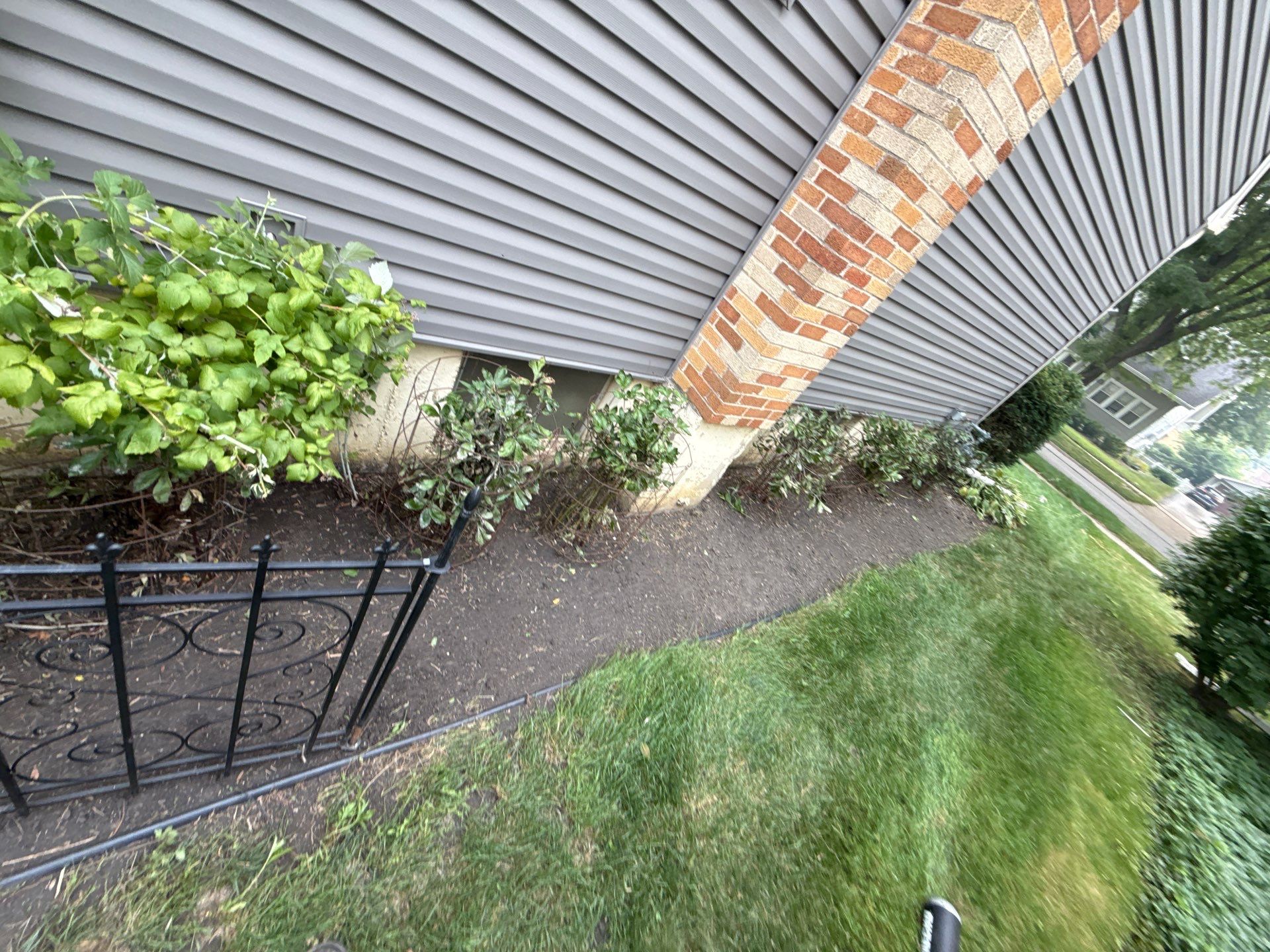 Donna L. - Arlington Heights, IL by A&N