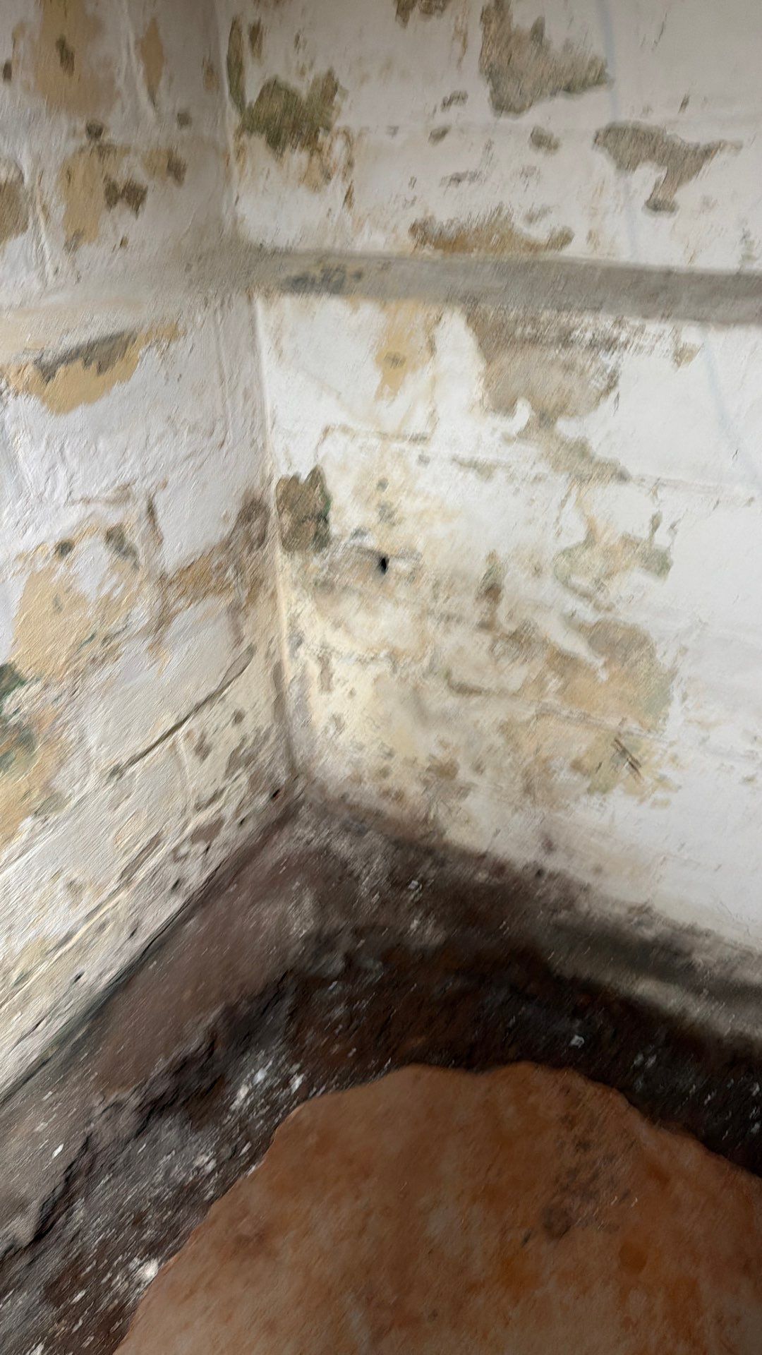 Interior French Drain South Orange, NJ by Pure Service Pro, LLC 