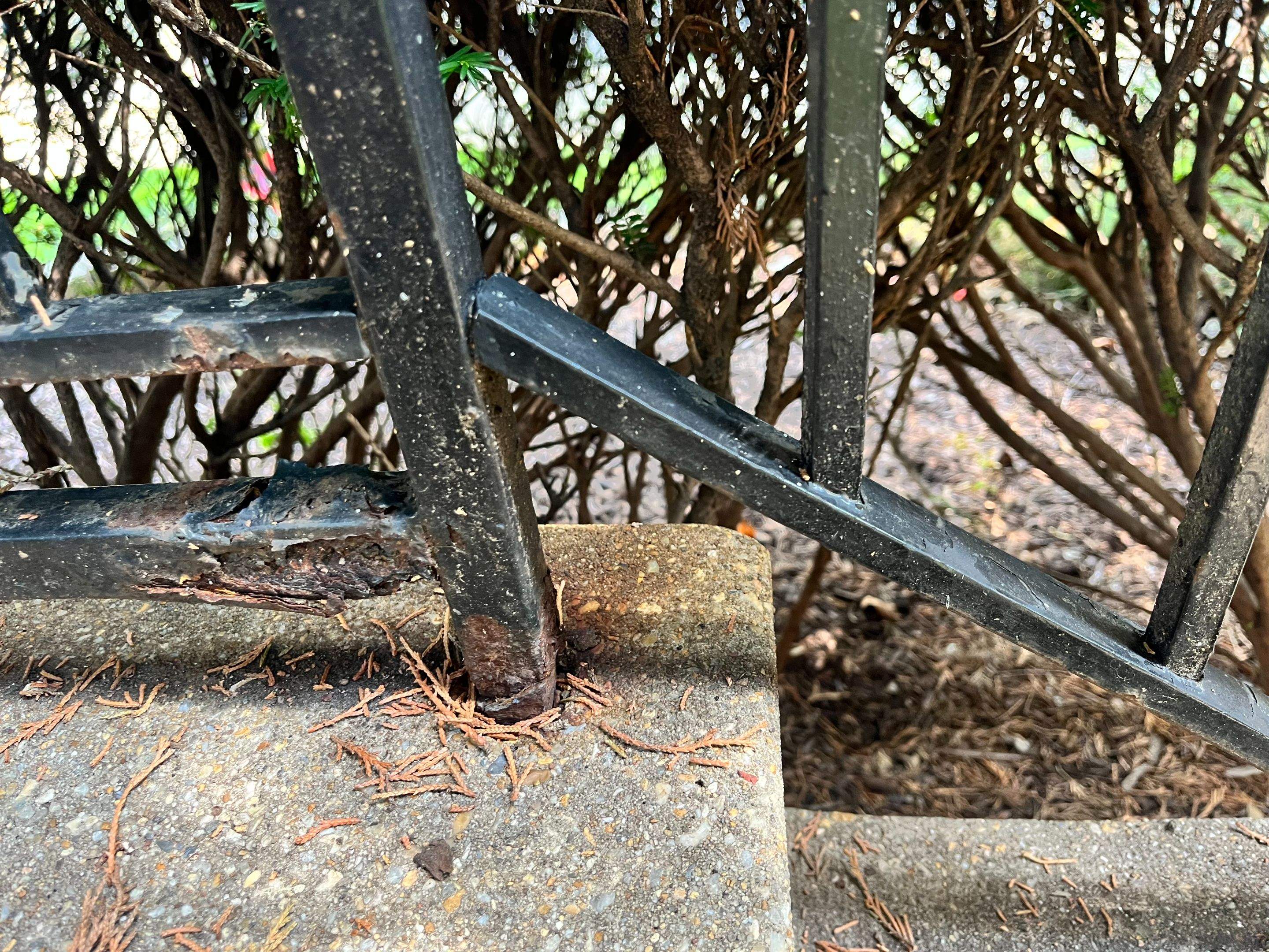 Black Metal Handrail Installation for Damascus Residential Entryway by Capitol Iron Works