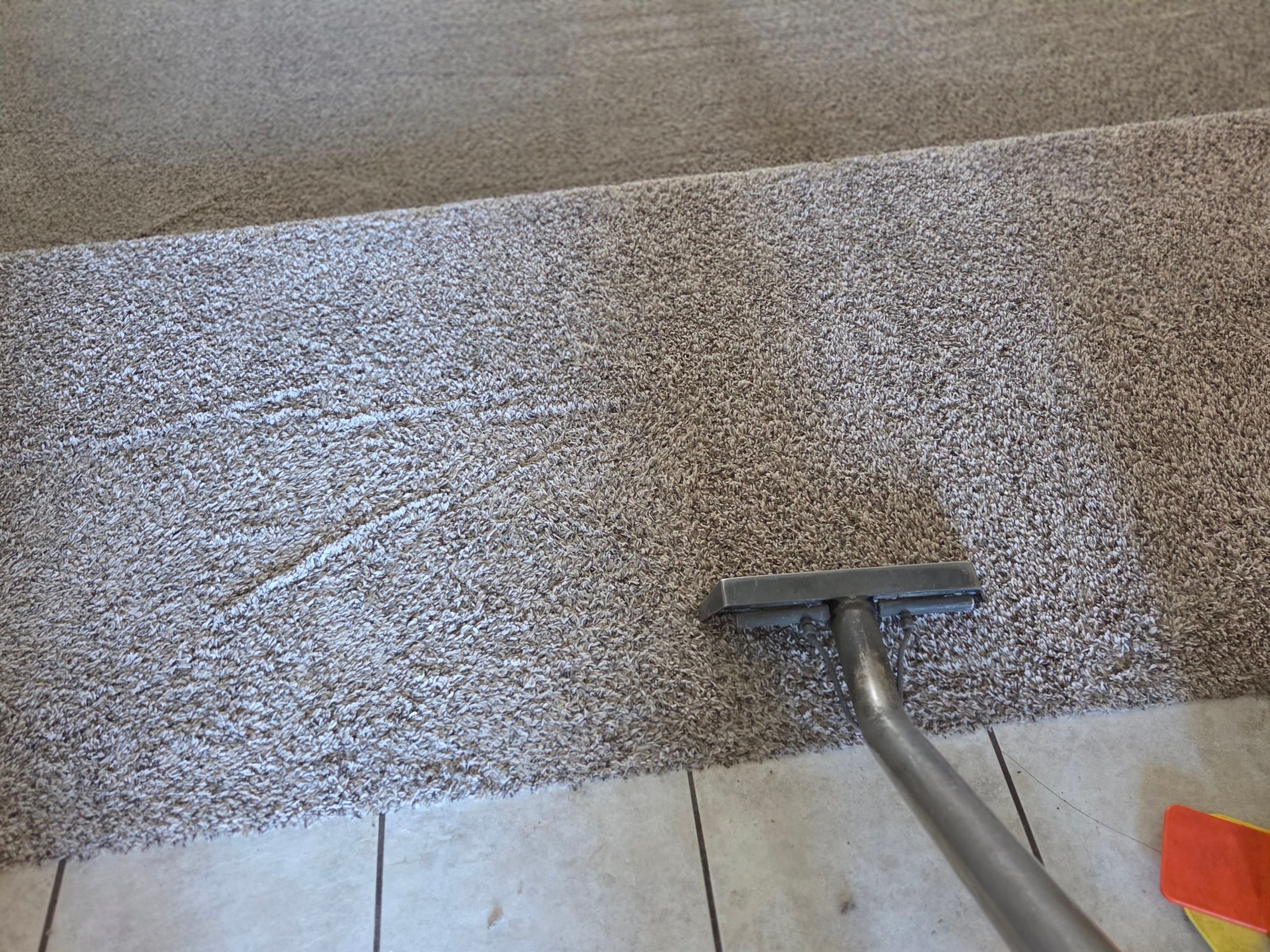 Move-Out Carpet Repairs & Carpet Cleaning by Ardent Carpet Restore LLC