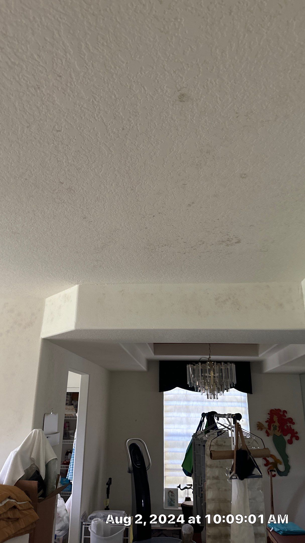 Mold Assessment using IR Camera, Moisture Meter, Air Cassette samples and Tape lifts by Building performance Solutions LLC