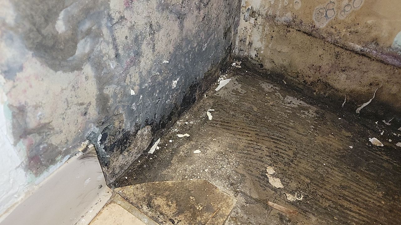 Water Damage by Accountable Home Services