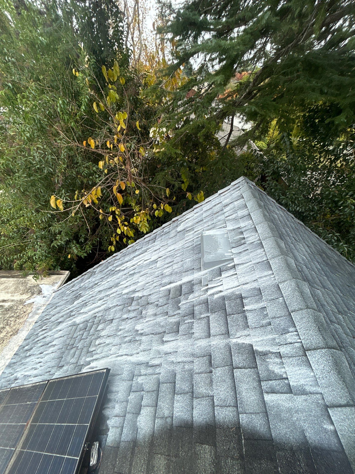 Roof Rejuvenation using Roof Maxx Treatment by Roof Maxx of Folsom