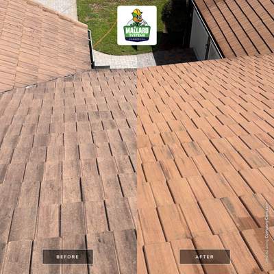 Tile Roof Cleaning in Sanford