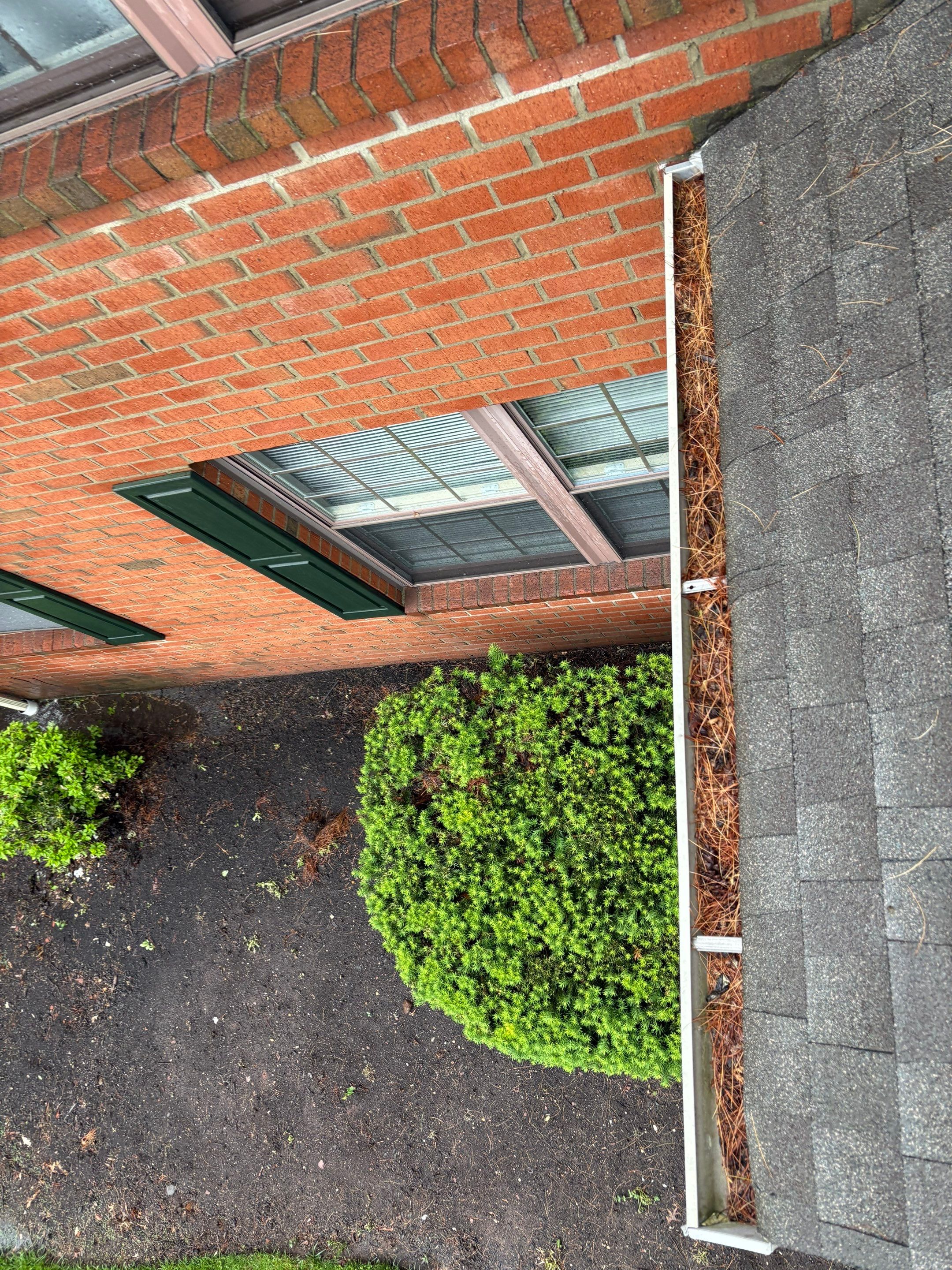 Commercial gutter cleaning Newark before photo with filled gutters