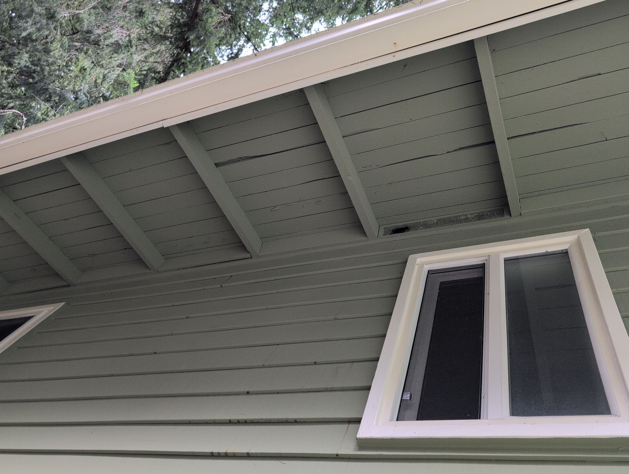 EuroShield Project in Bellevue by RoofSmart