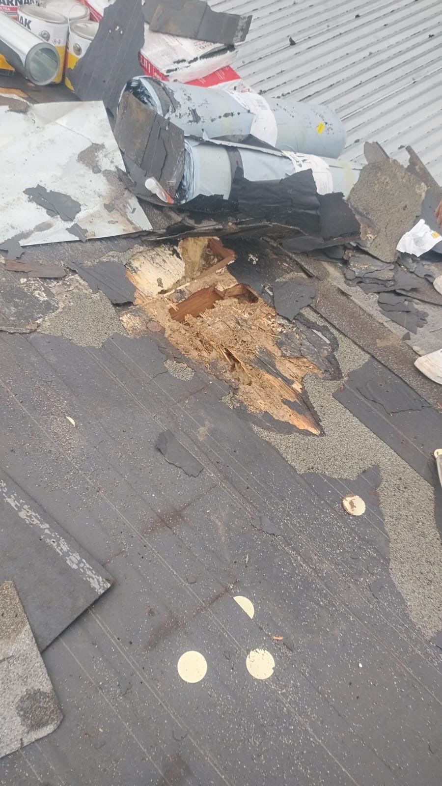 Project in Pflugerville by Serene Construction