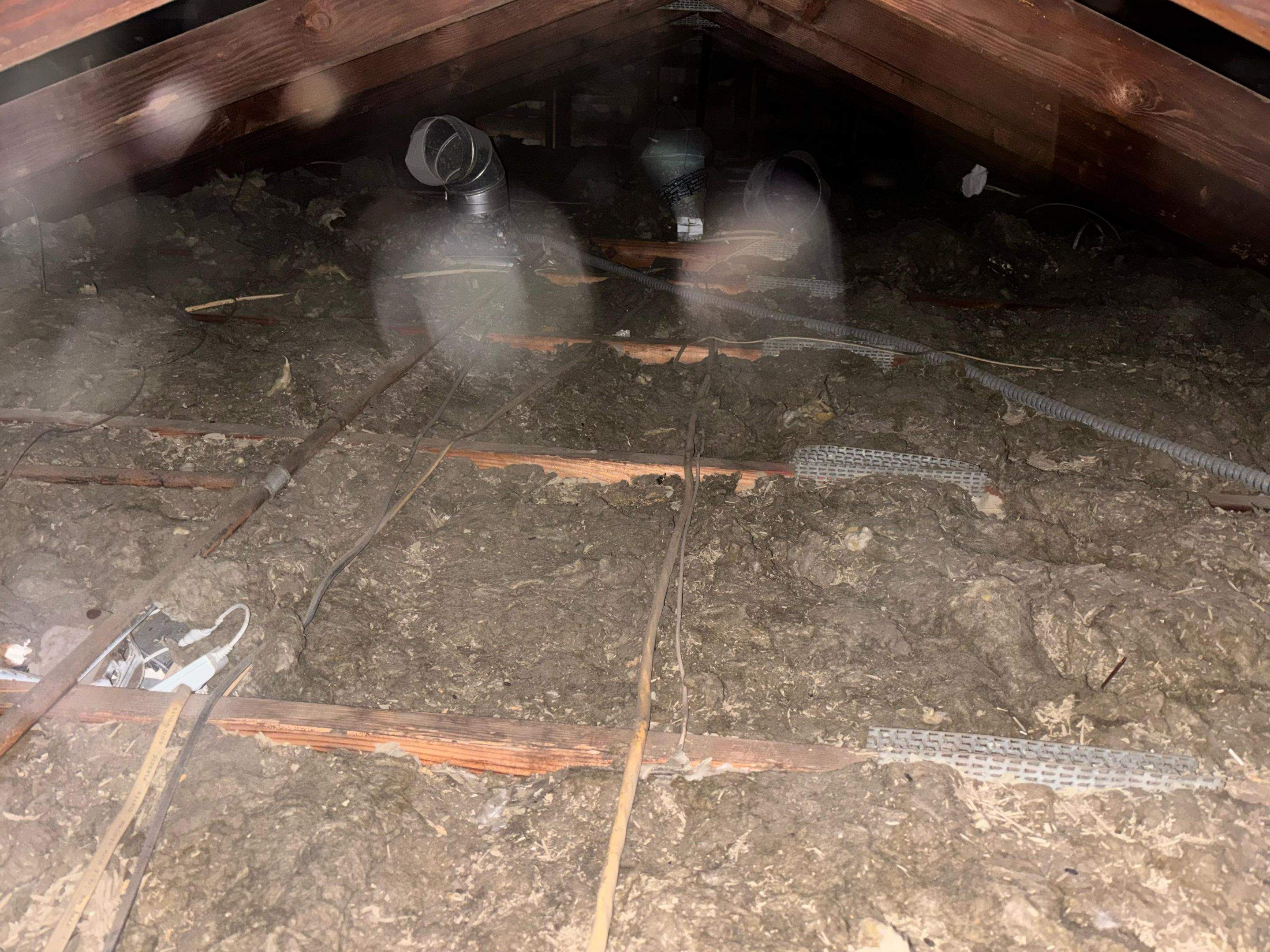 Project in Cypress by Insulation Labs