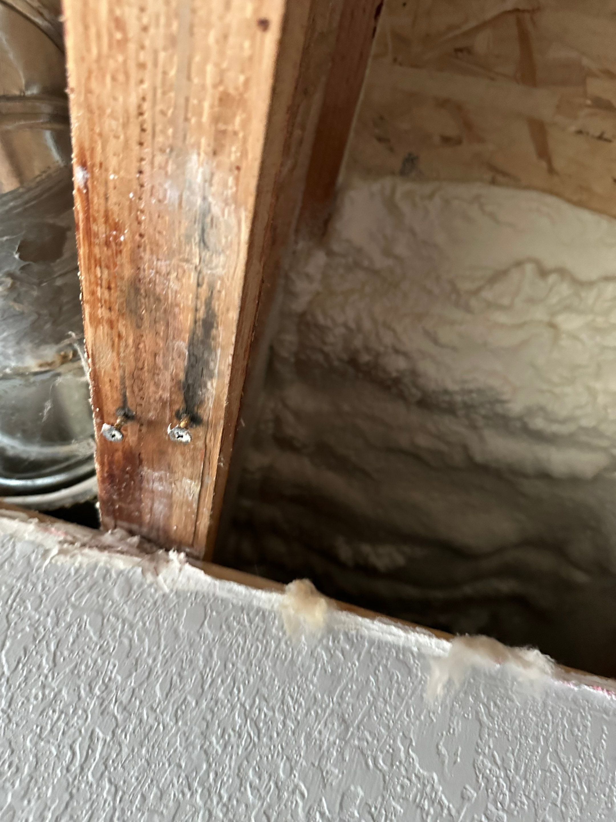 Mold Remediation in Denver, CO by Alpha Restoration 