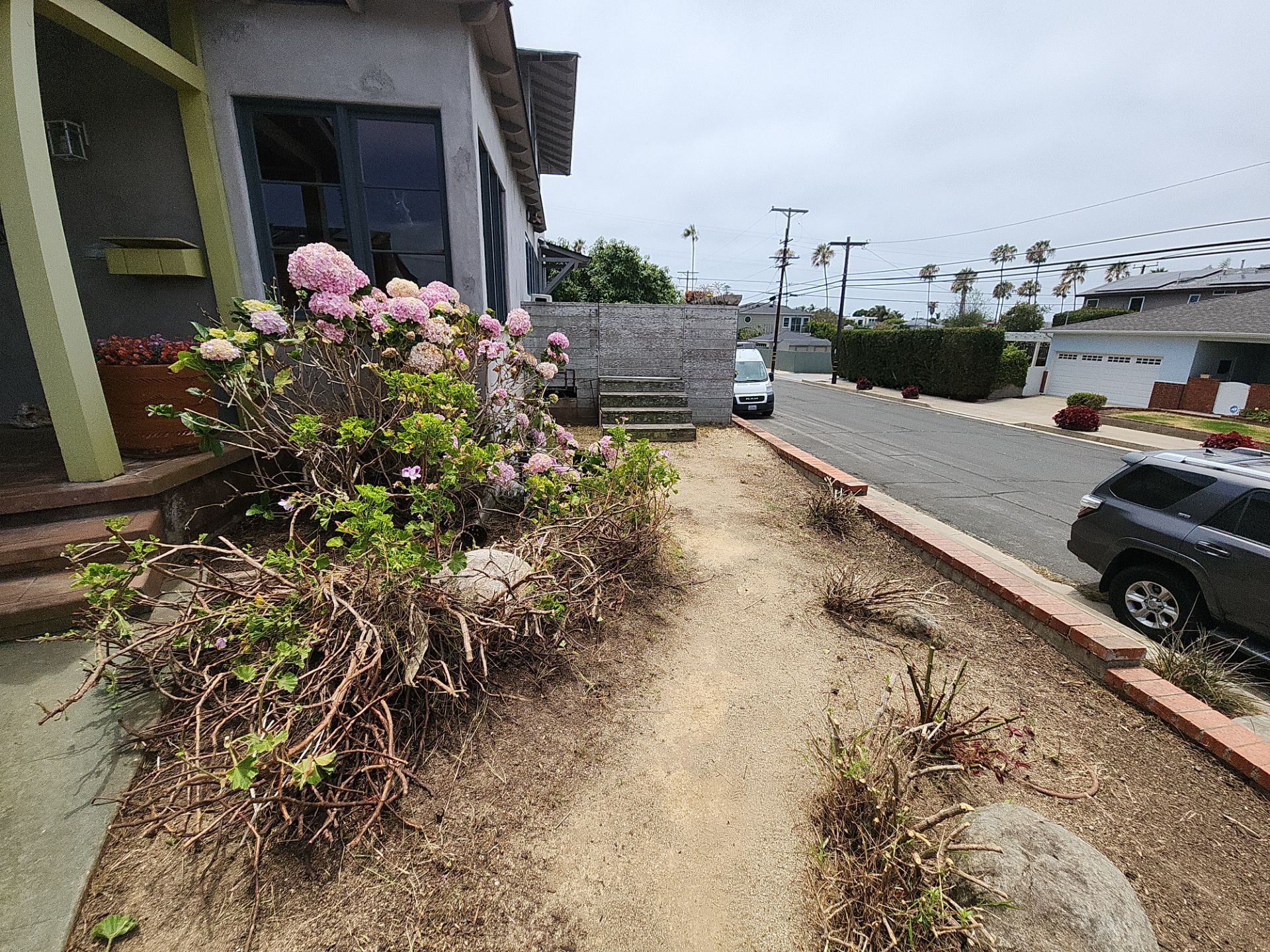San Diego Landscape Clean Up by Yard Techs