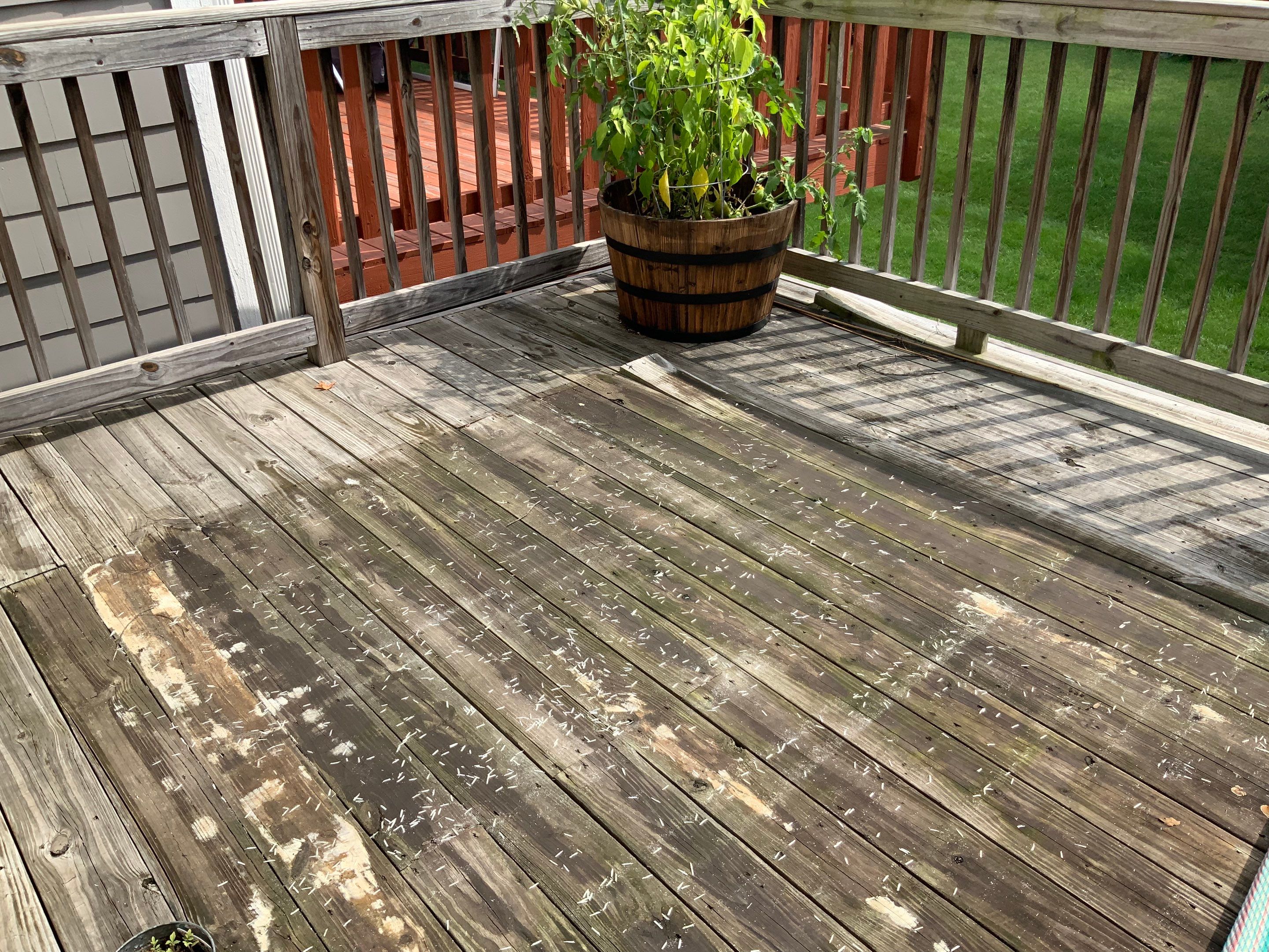 Deck Repair using Olympic Elite stains by Alpha Design Services