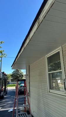 Turtle Shell gutter protection installation in Morris, IL 60450, photograph 26