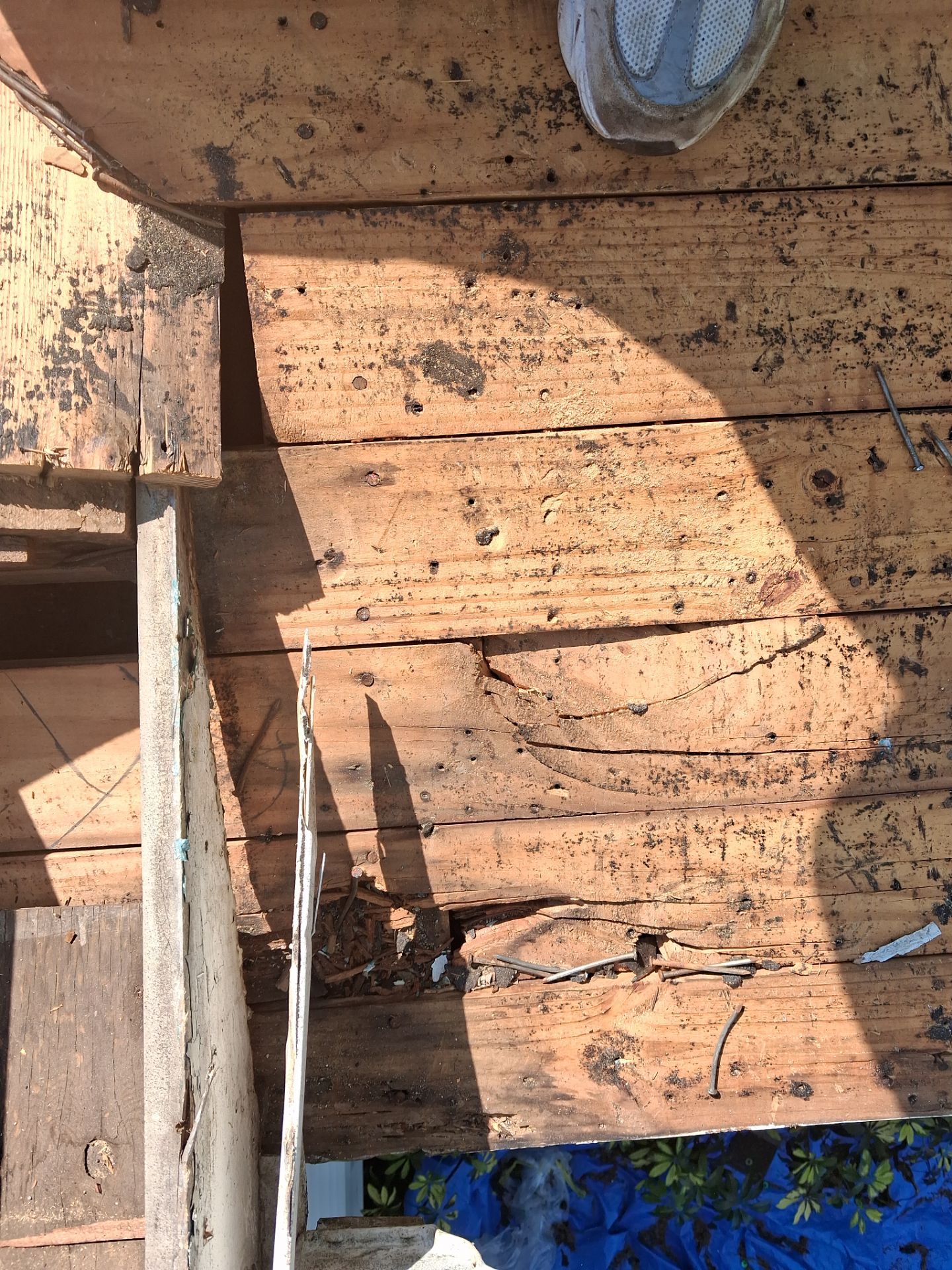 Project in Clearwater 33755 by Mitchell Roofing Company LLC 