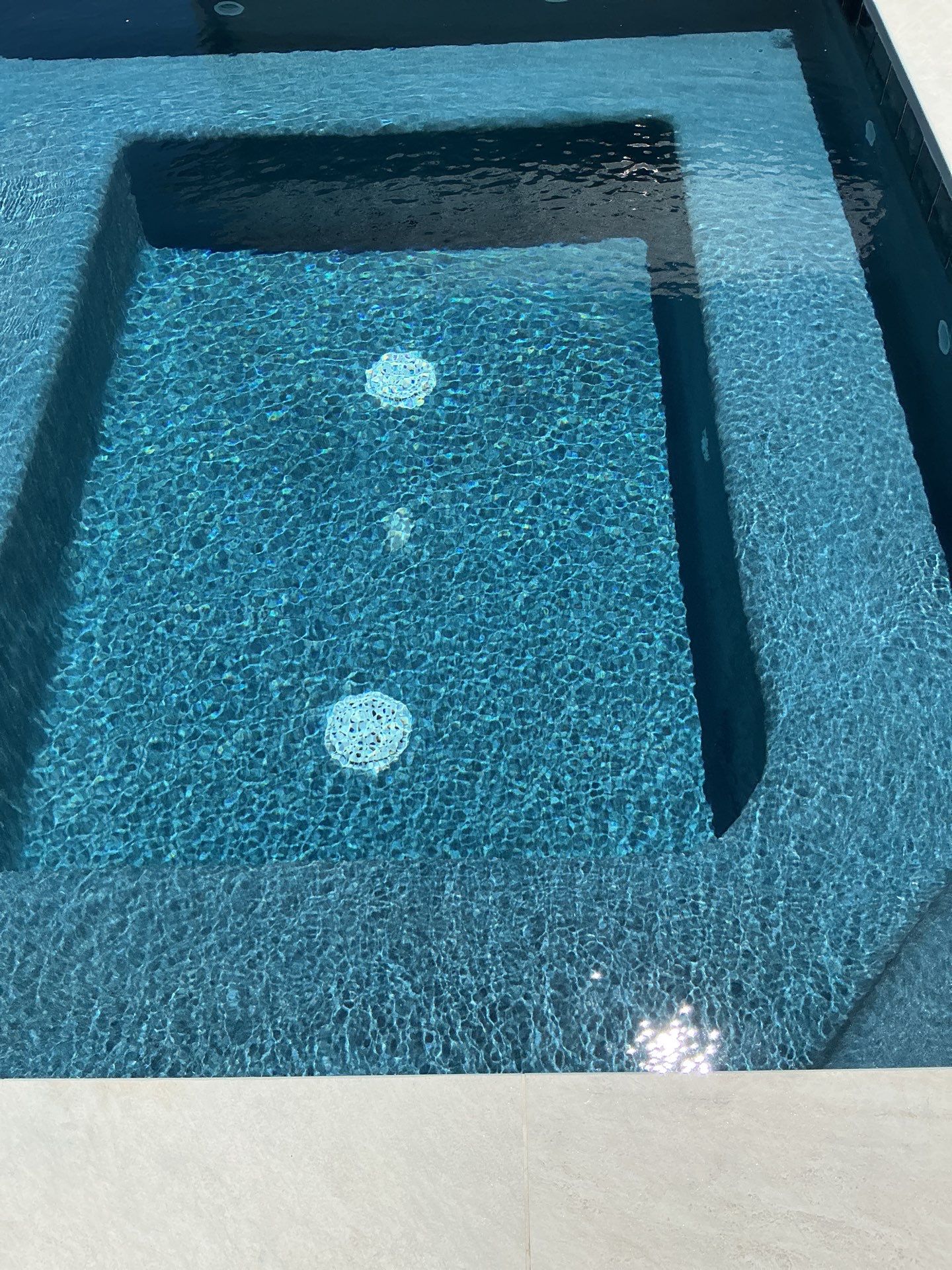 8340 Continental-Pool & Landscape by Spanky’s Landscape