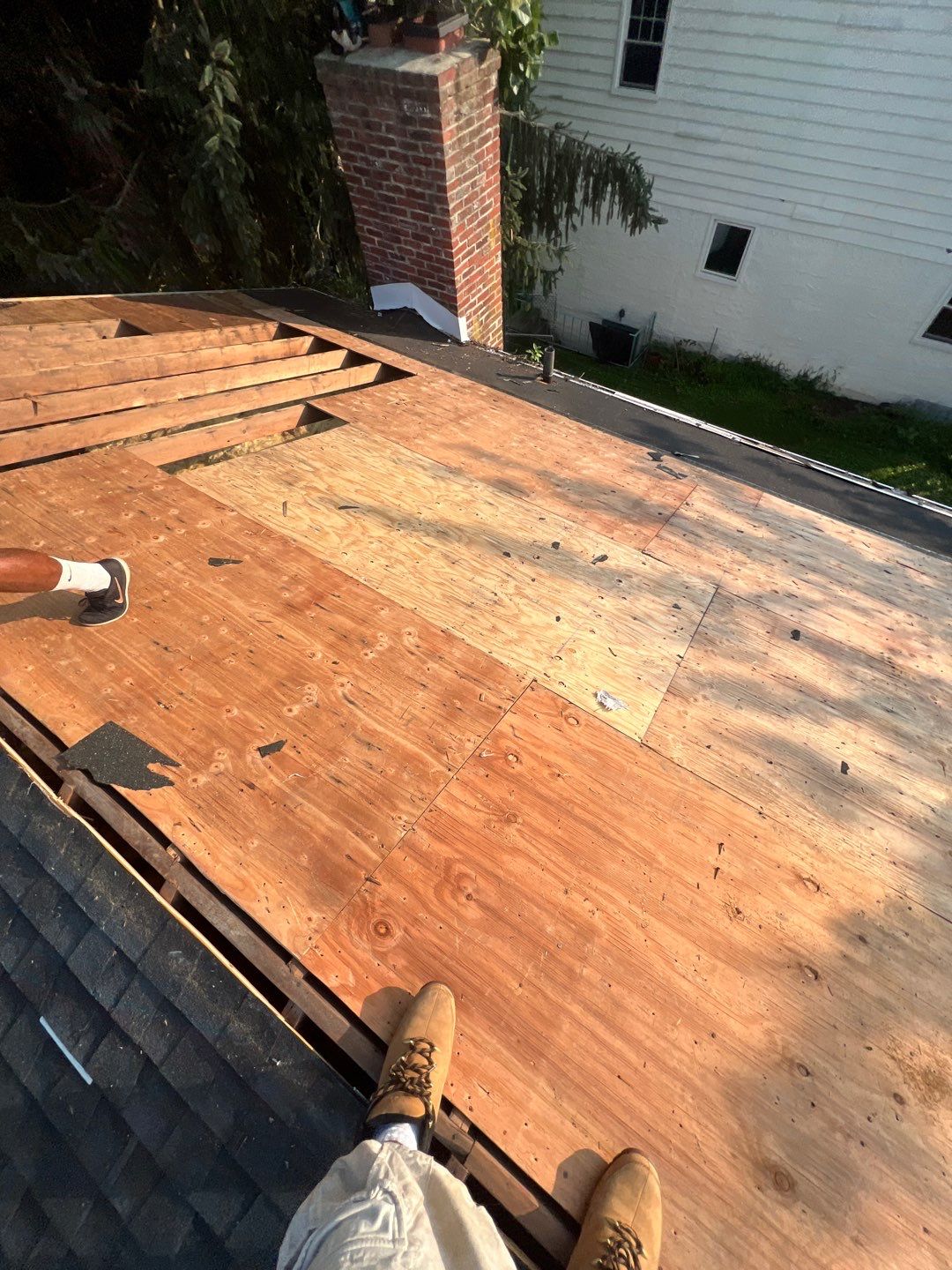 Silver Birch Shingles by Reimagine Roofing