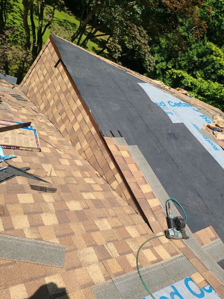 Fairfax Station: CertainTeed Landmark Pro Designer Shingles in Max Def Resawn Shake by RM Banning, Inc.