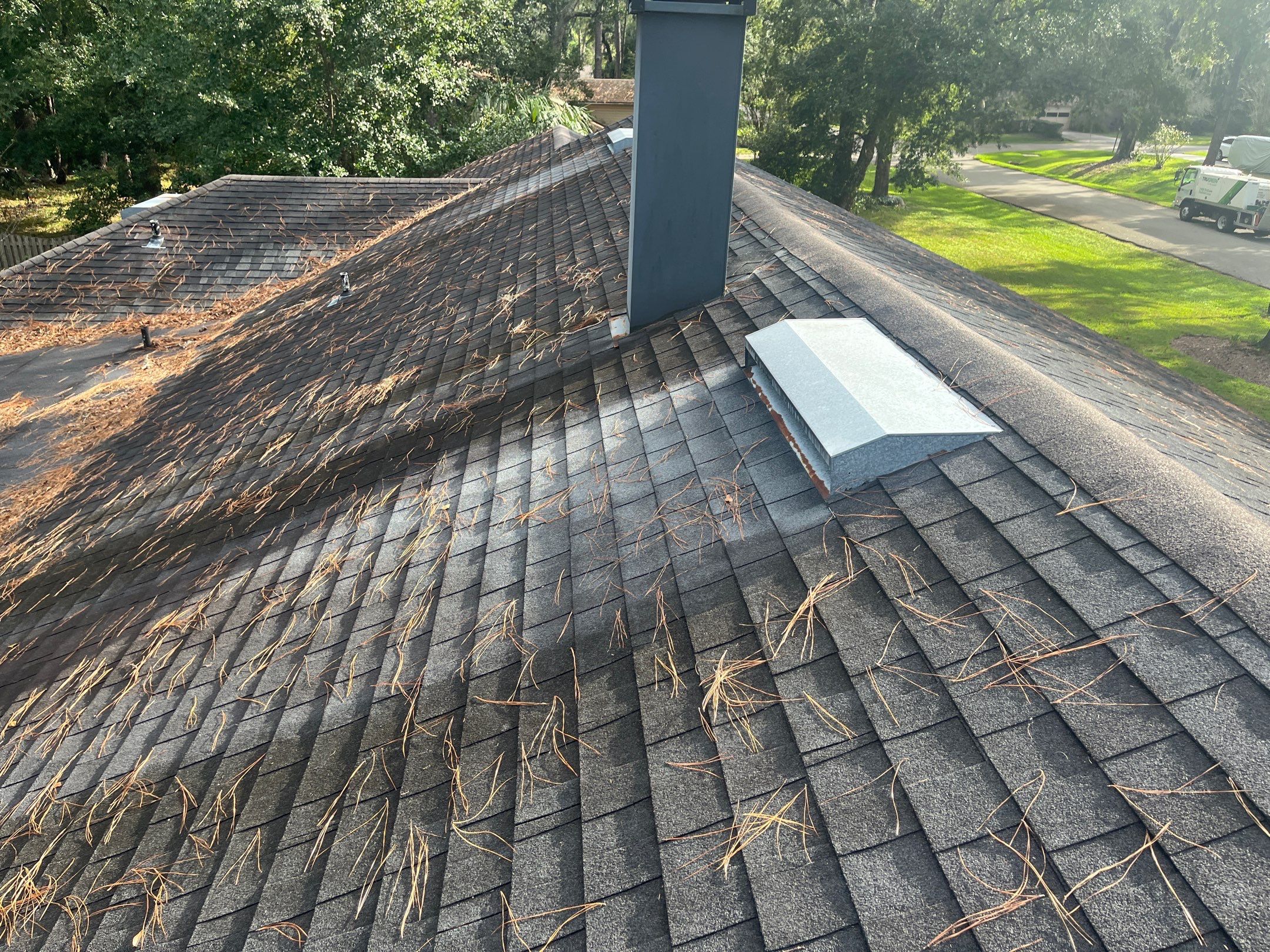 Shingle -> Shingle by Prime Roofing