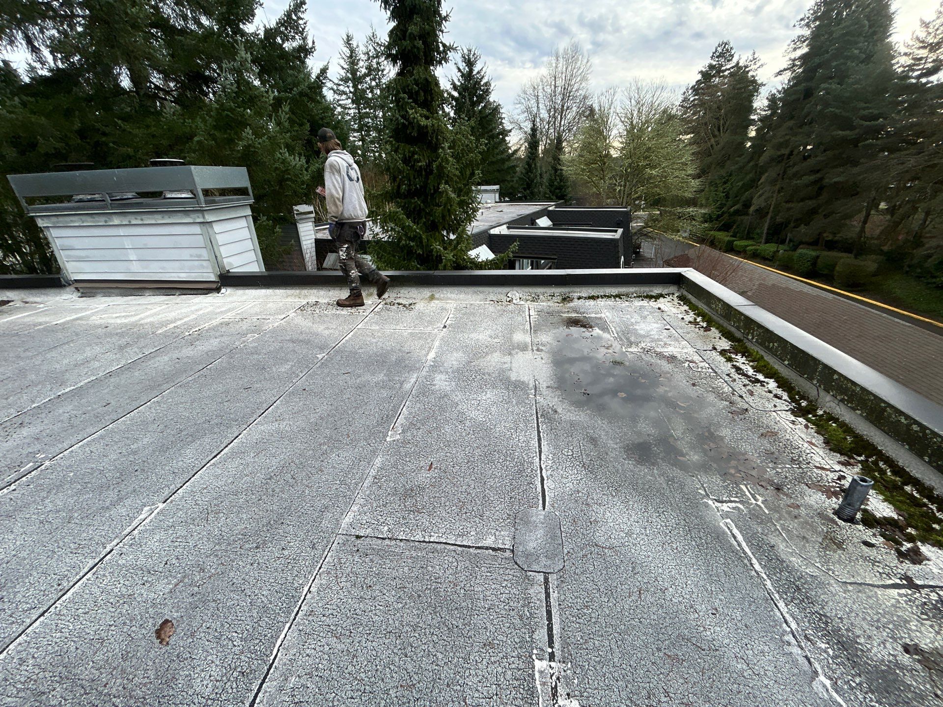 Project in Kirkland by Connolly Construction Company