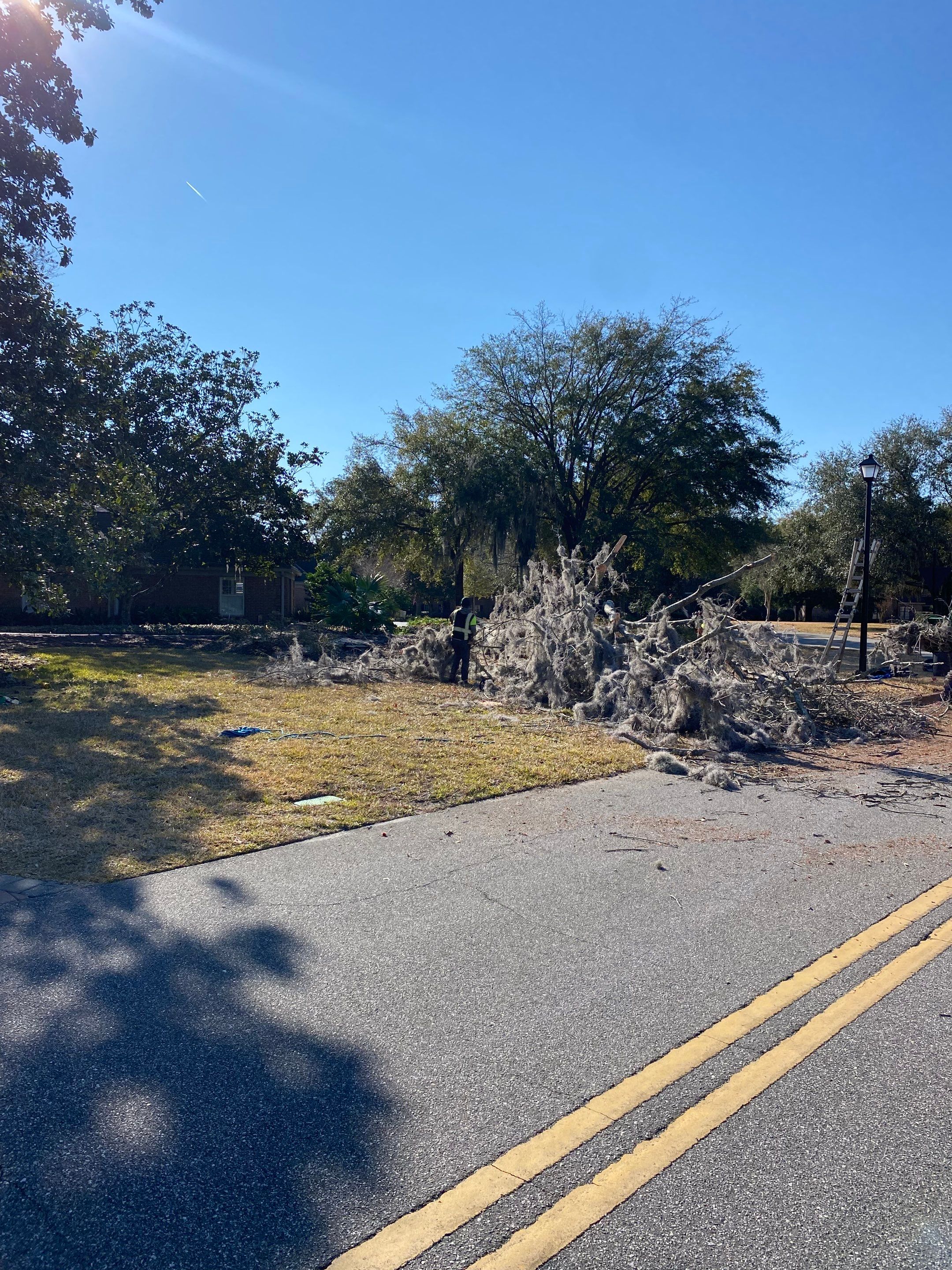 Deerwood Resident | Tree Removal & Mulch Install by ProGreen Services