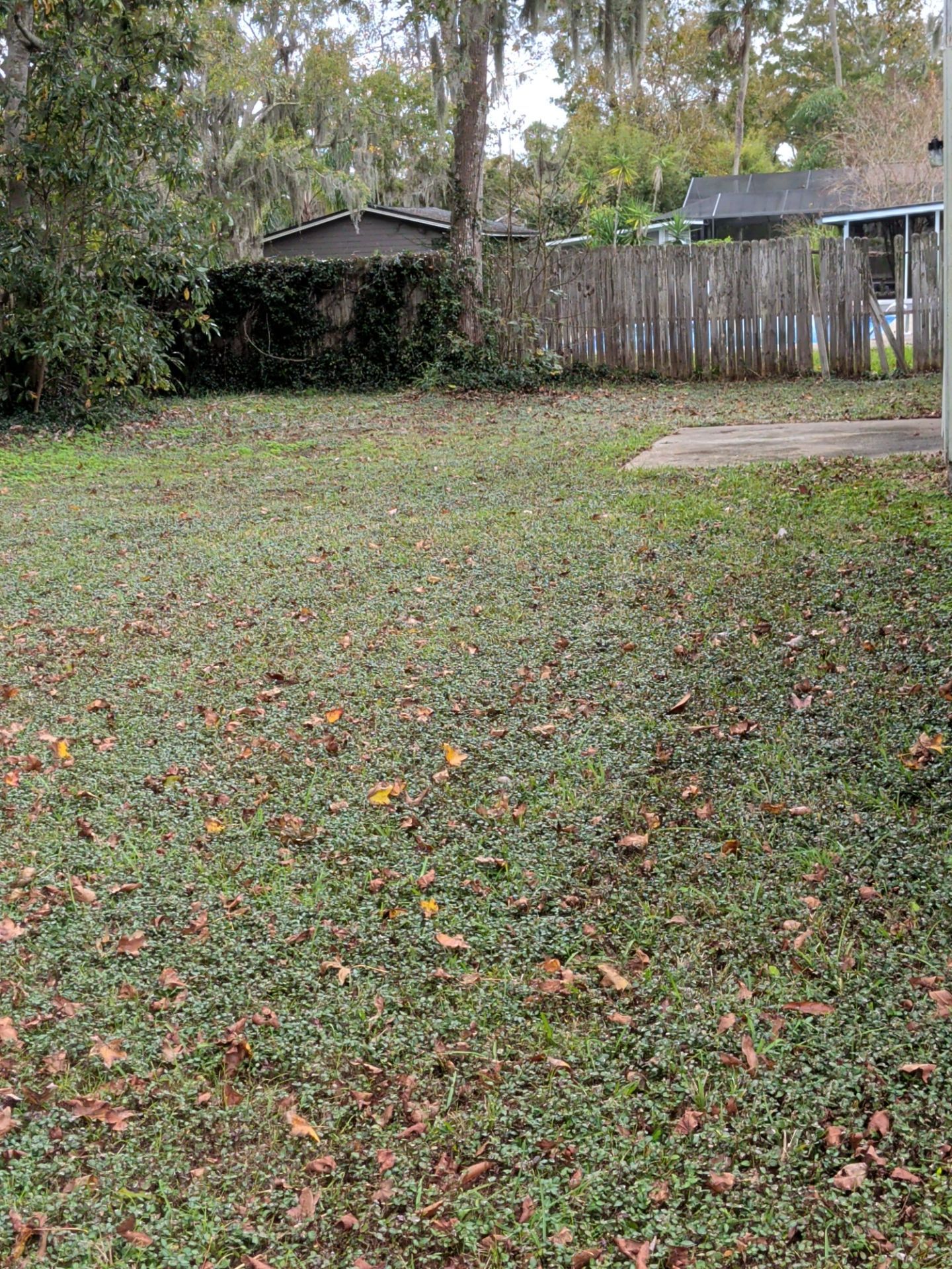 Pressure Washing/Soft Wash & Lawn Care Service — Jacksonville Beach Area by Harmoni Home Services