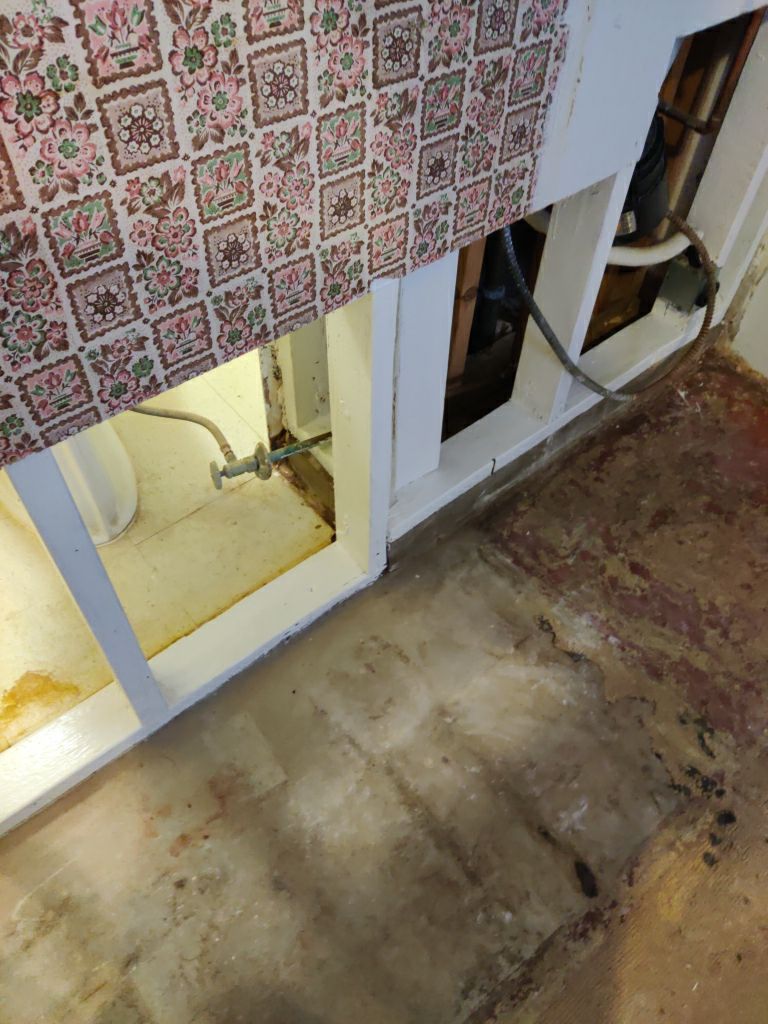 Mold Remediation in Basement by Accountable Home Services