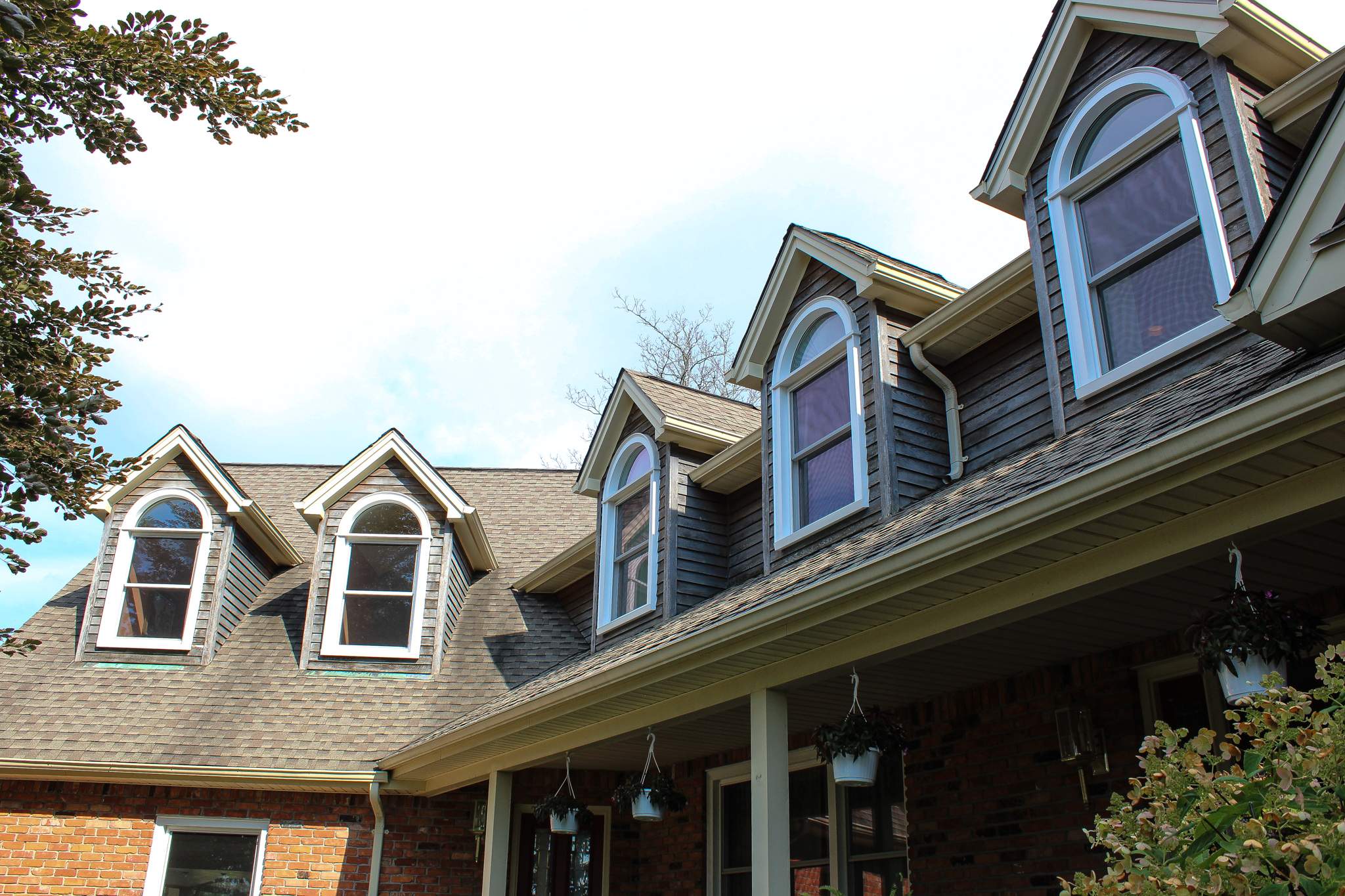 Window Replacement by Ivy Lea Construction