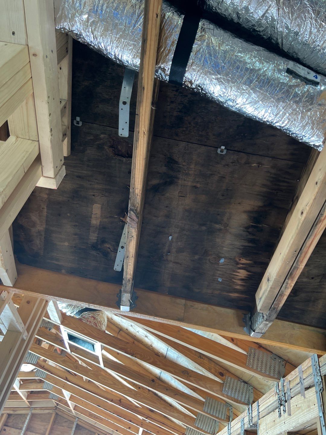 Anna Maria Mold Remediation  by Ampm Restoration Services 