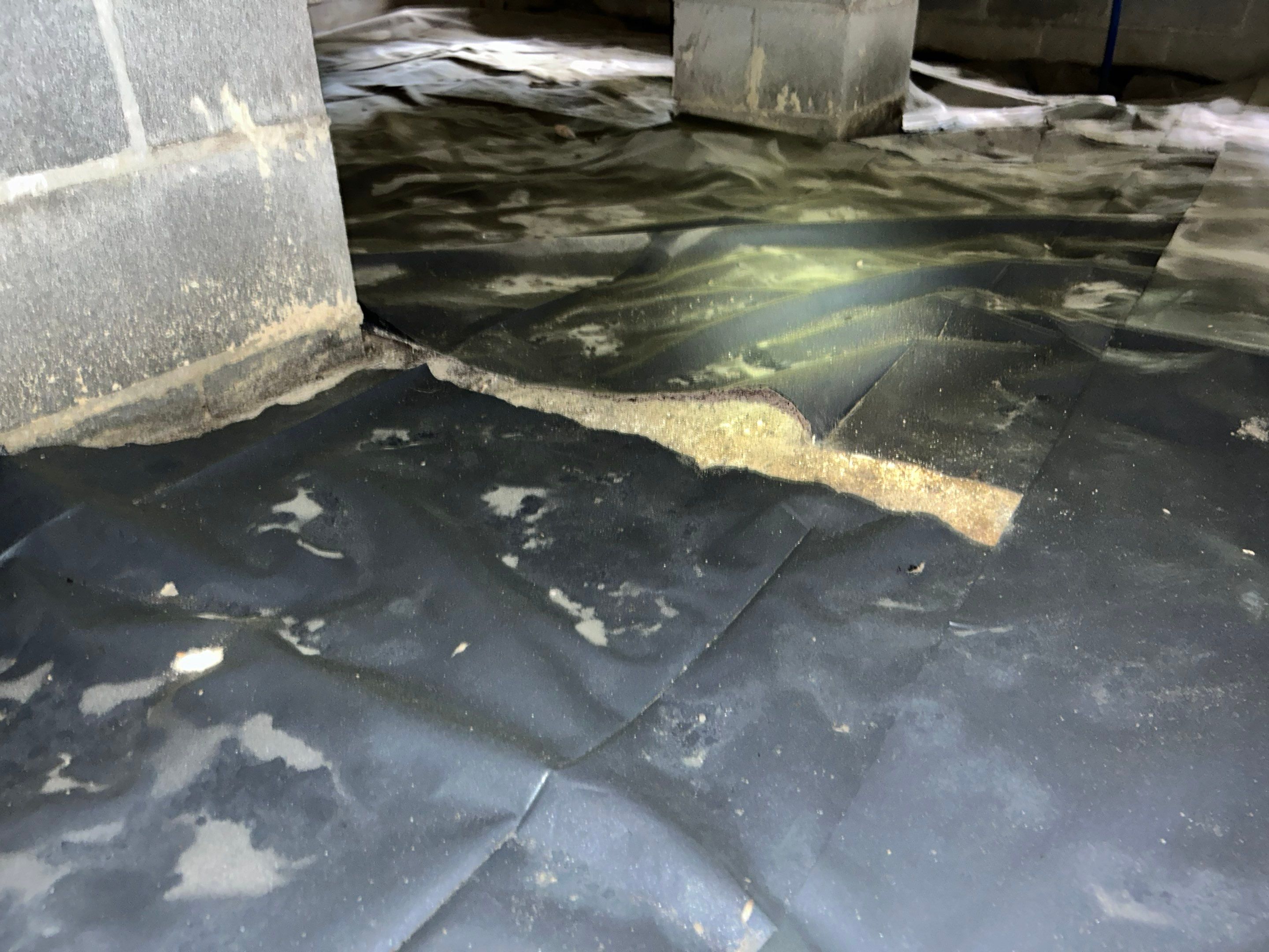 Premium Encapsulation with 20Mil, Borafoam insulation and Light System. by Impact Crawlspace
