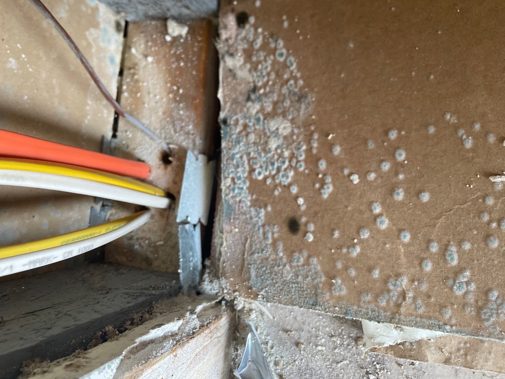 Water & Mold Remediation  by Dry Source Property Restoration 