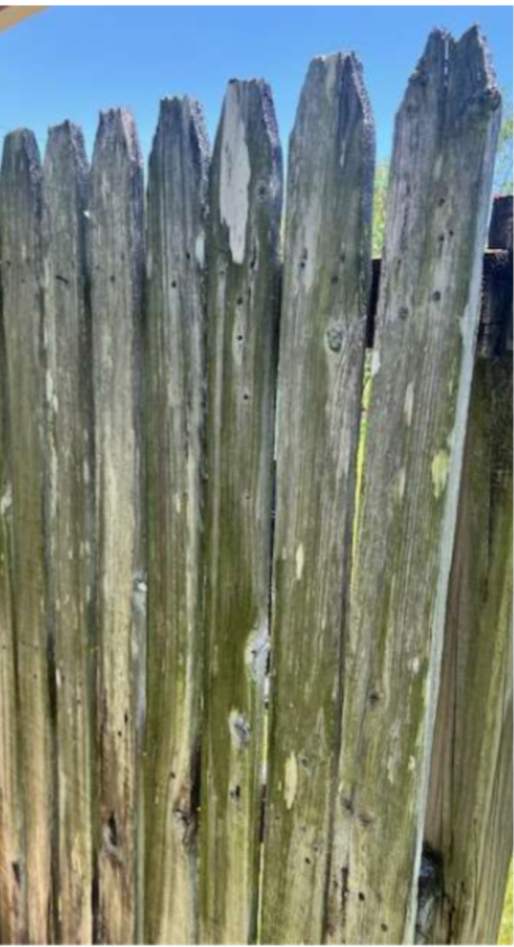 Wood Project in Fort Myers by True Fence LLC