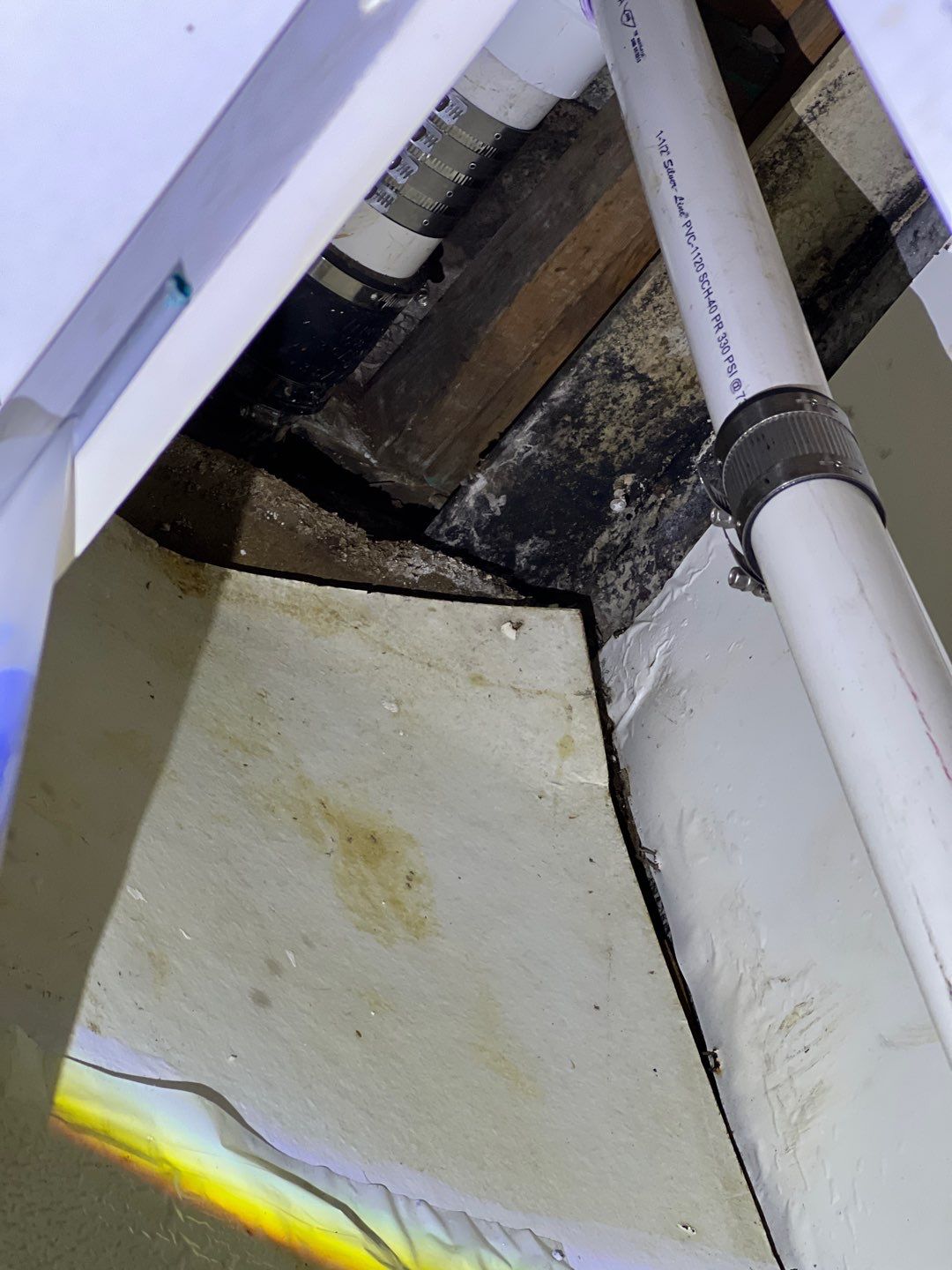 Mold Inspection by Ampm Restoration Services