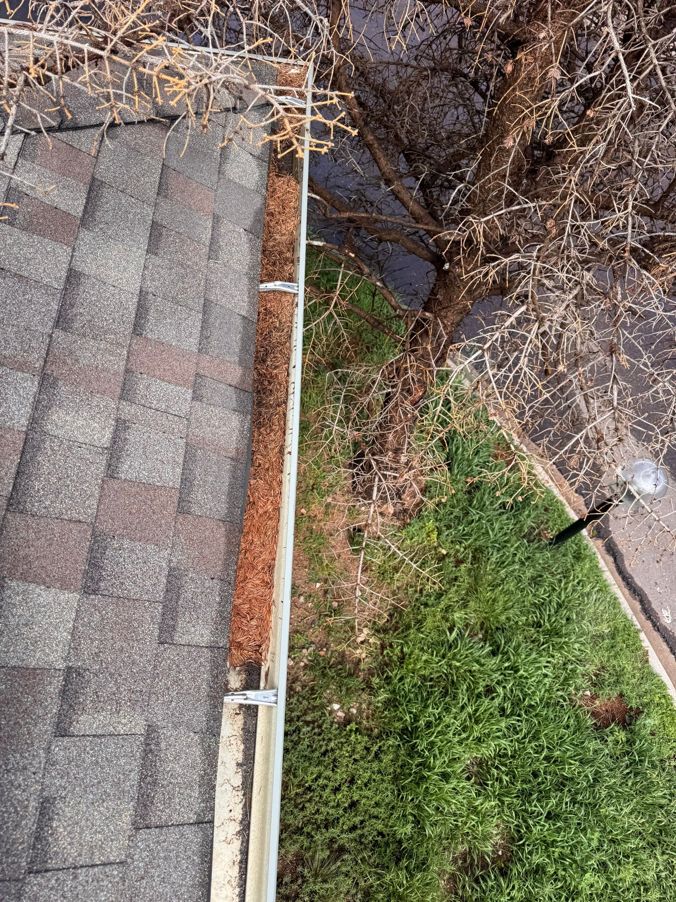 Commercial gutter cleaning Pueblo before photo with filled gutters
