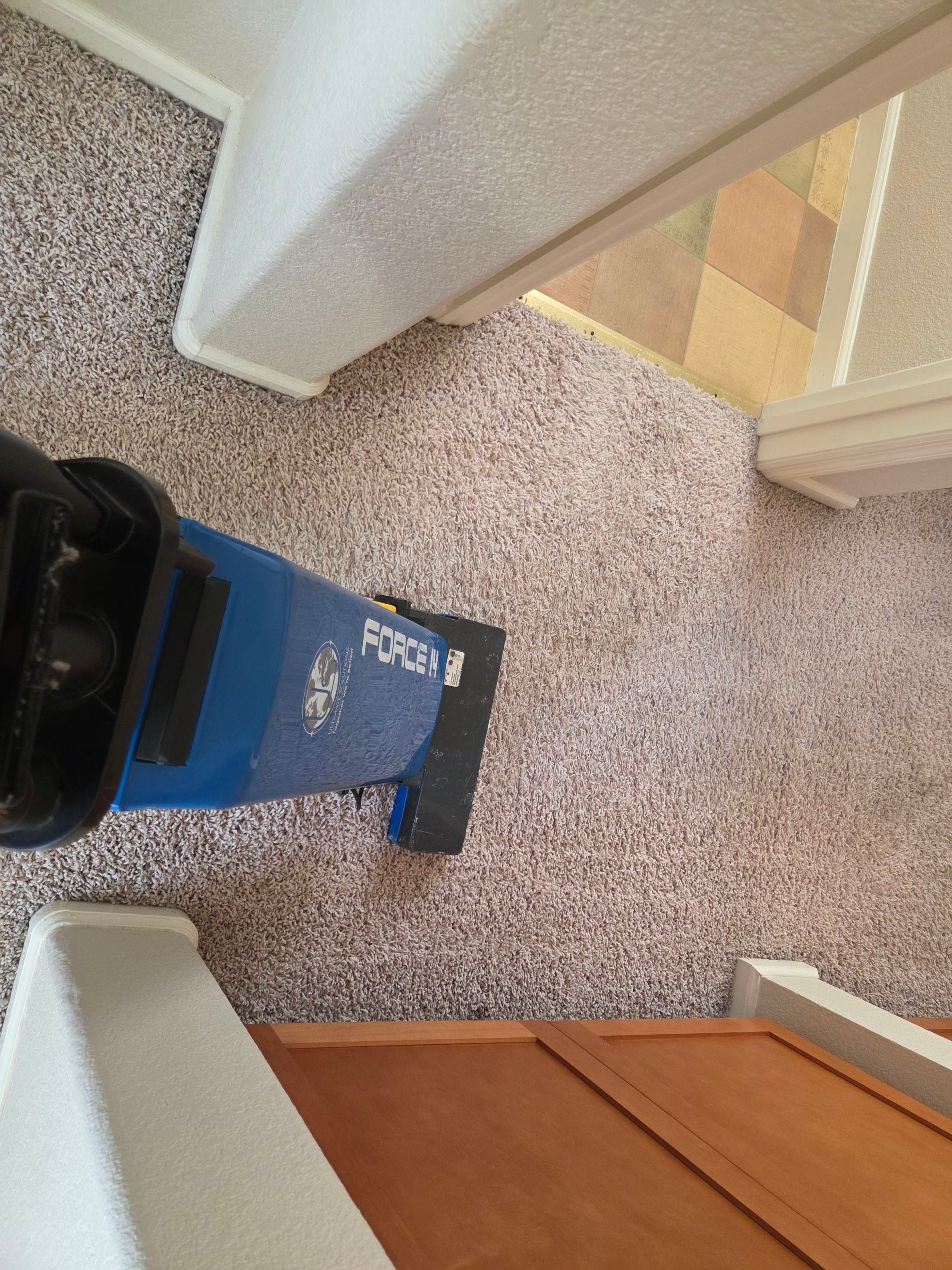 Carpet & Upholstery Cleaning in Roseville by Ardent Carpet Restore LLC