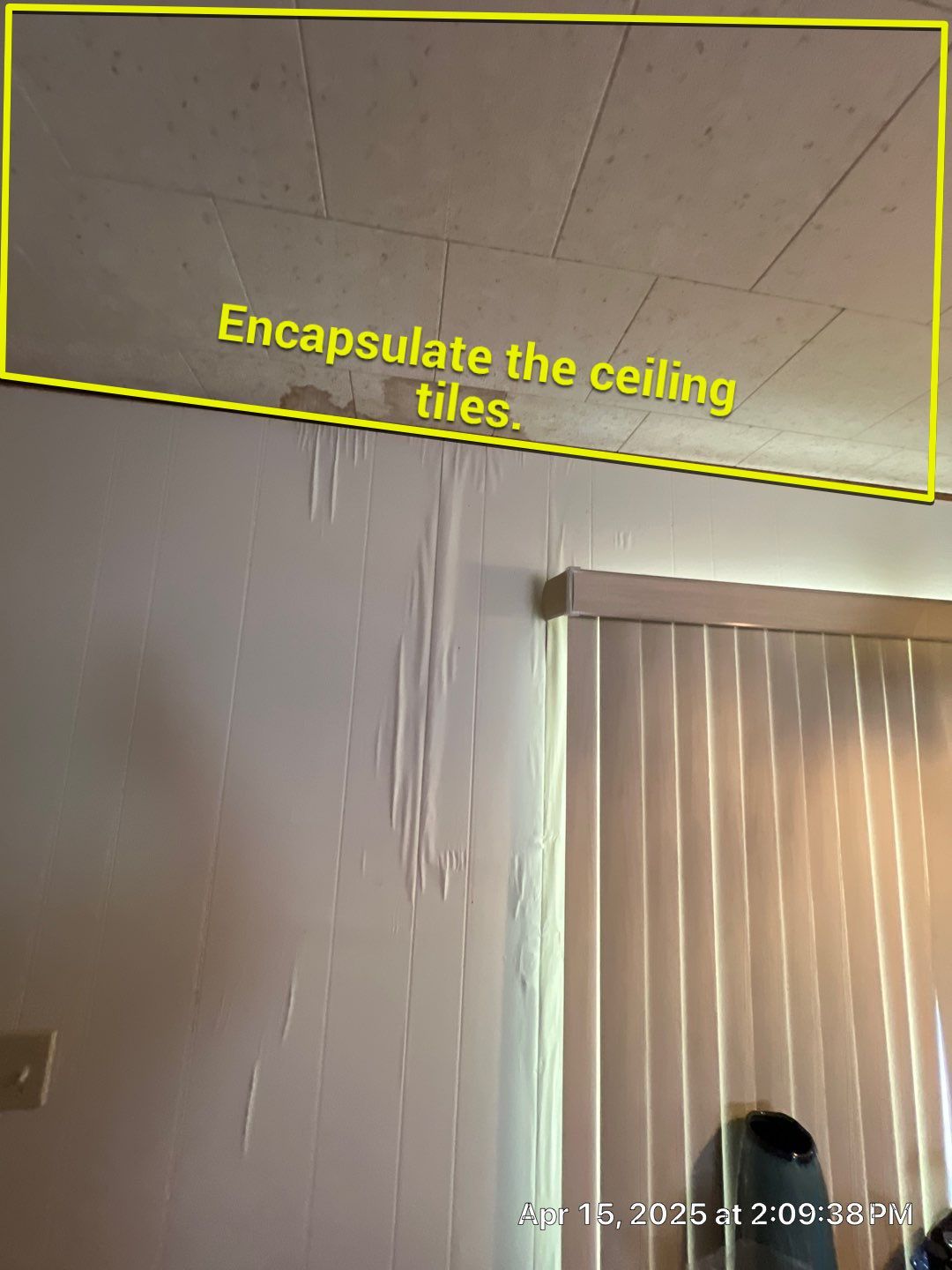 Mold Remediation Bradenton by Ampm Restoration Services