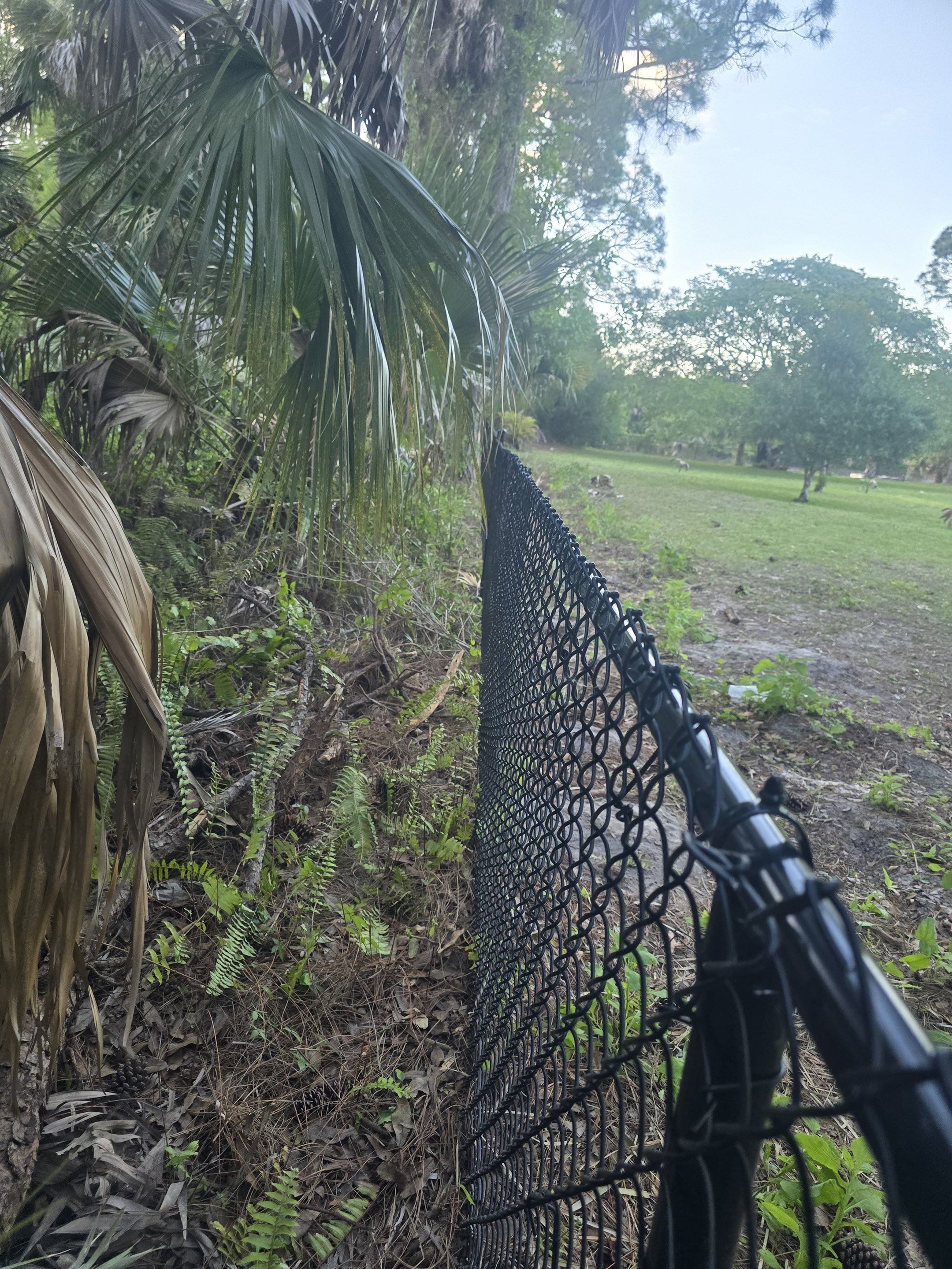 Chain Link Fence in Naples by True Fence LLC