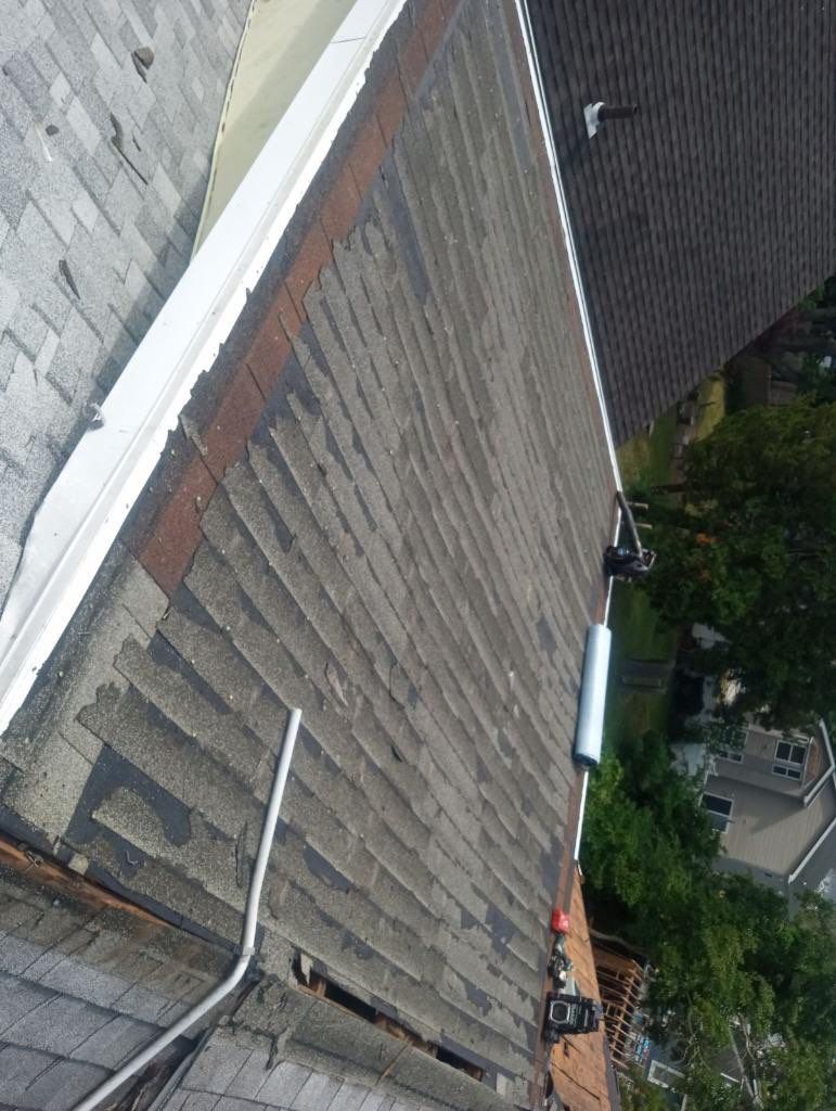 Silver Birch Shingles by Reimagine Roofing