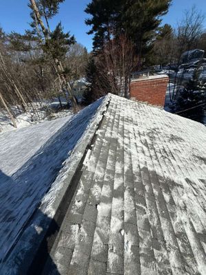 Sow Removal