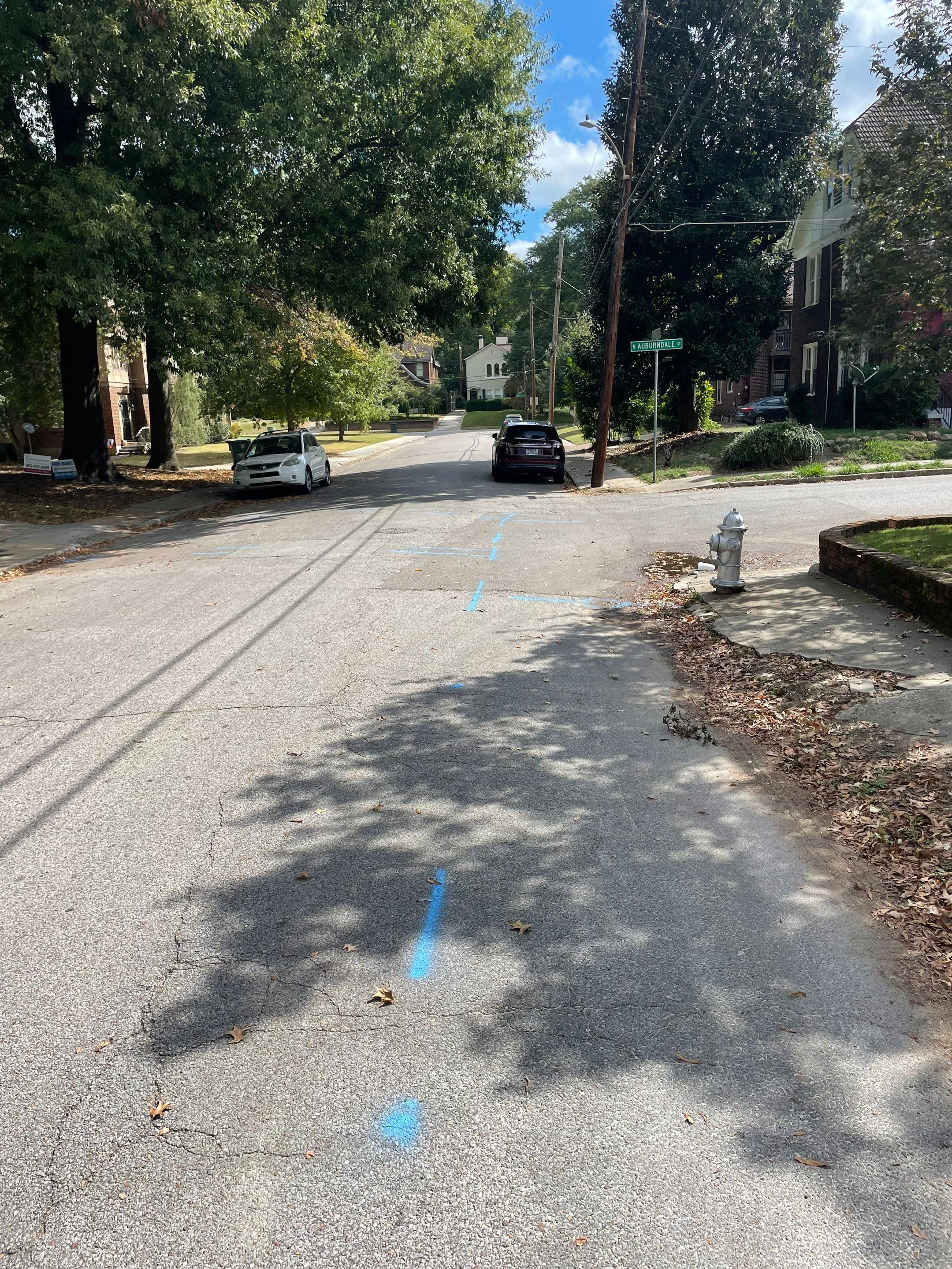 Utility Locate for Survey Purposes by Alsip Locating Service, LLC